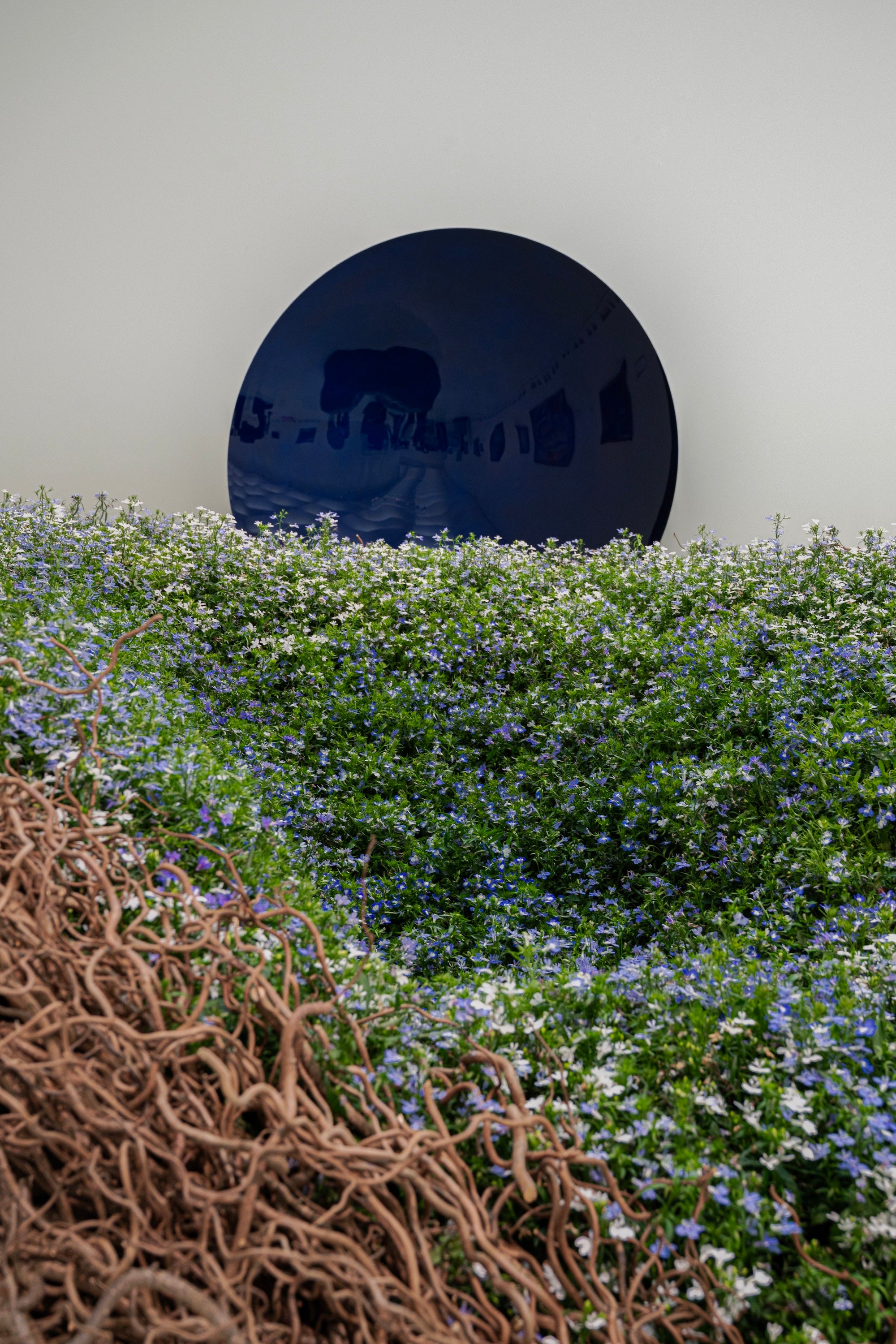 A Living Dialogue in Blue