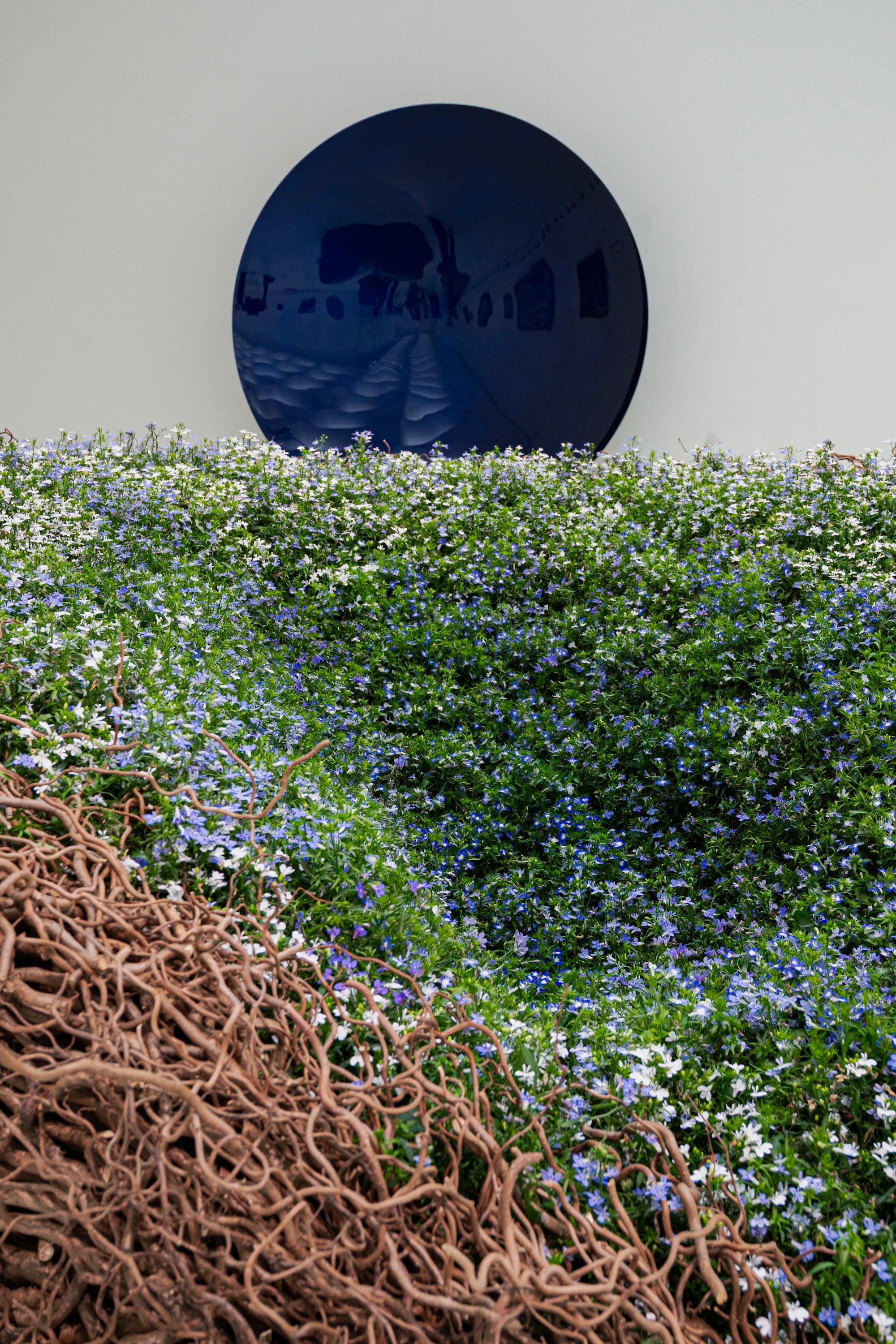 A Living Dialogue in Blue