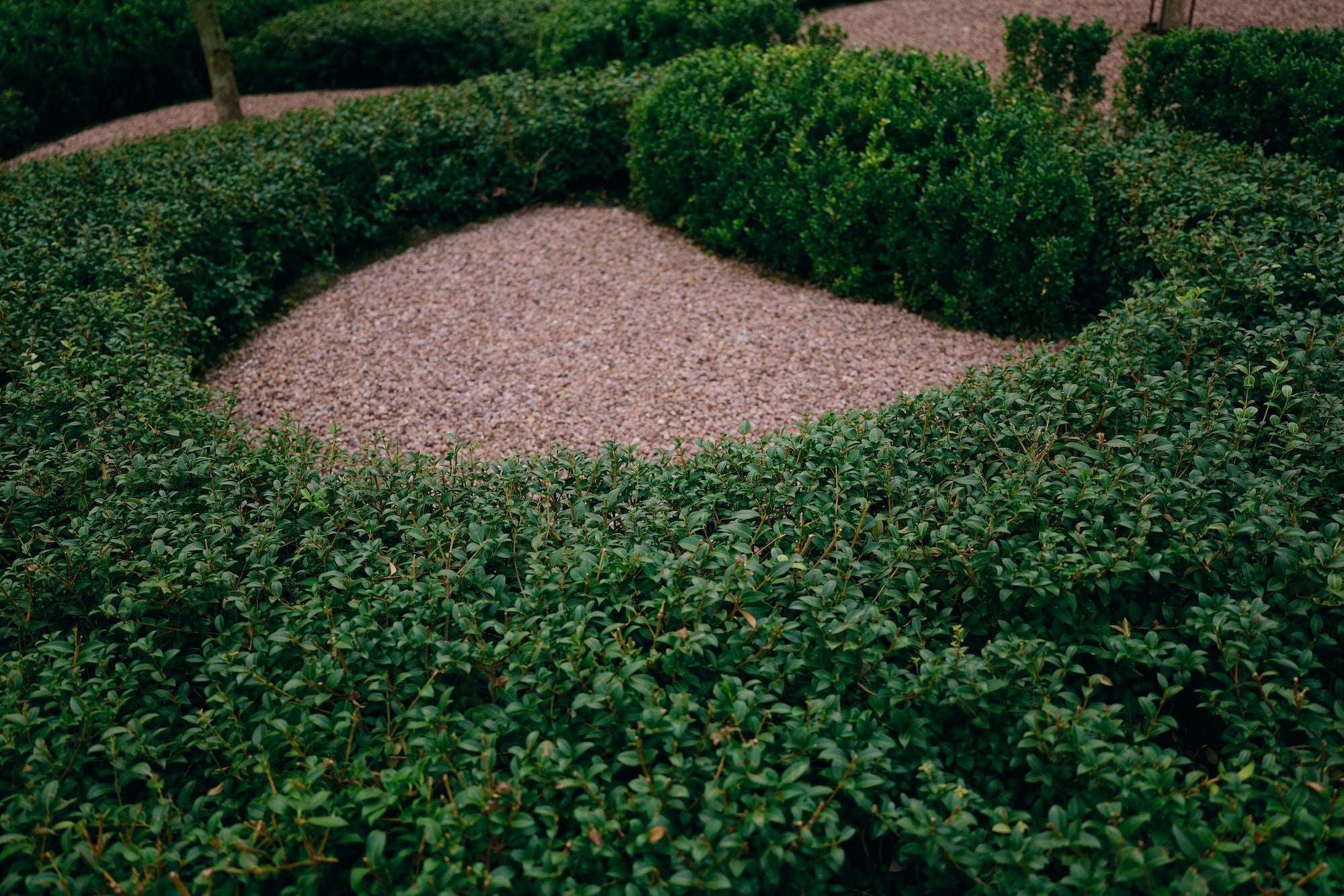 The Civic Garden