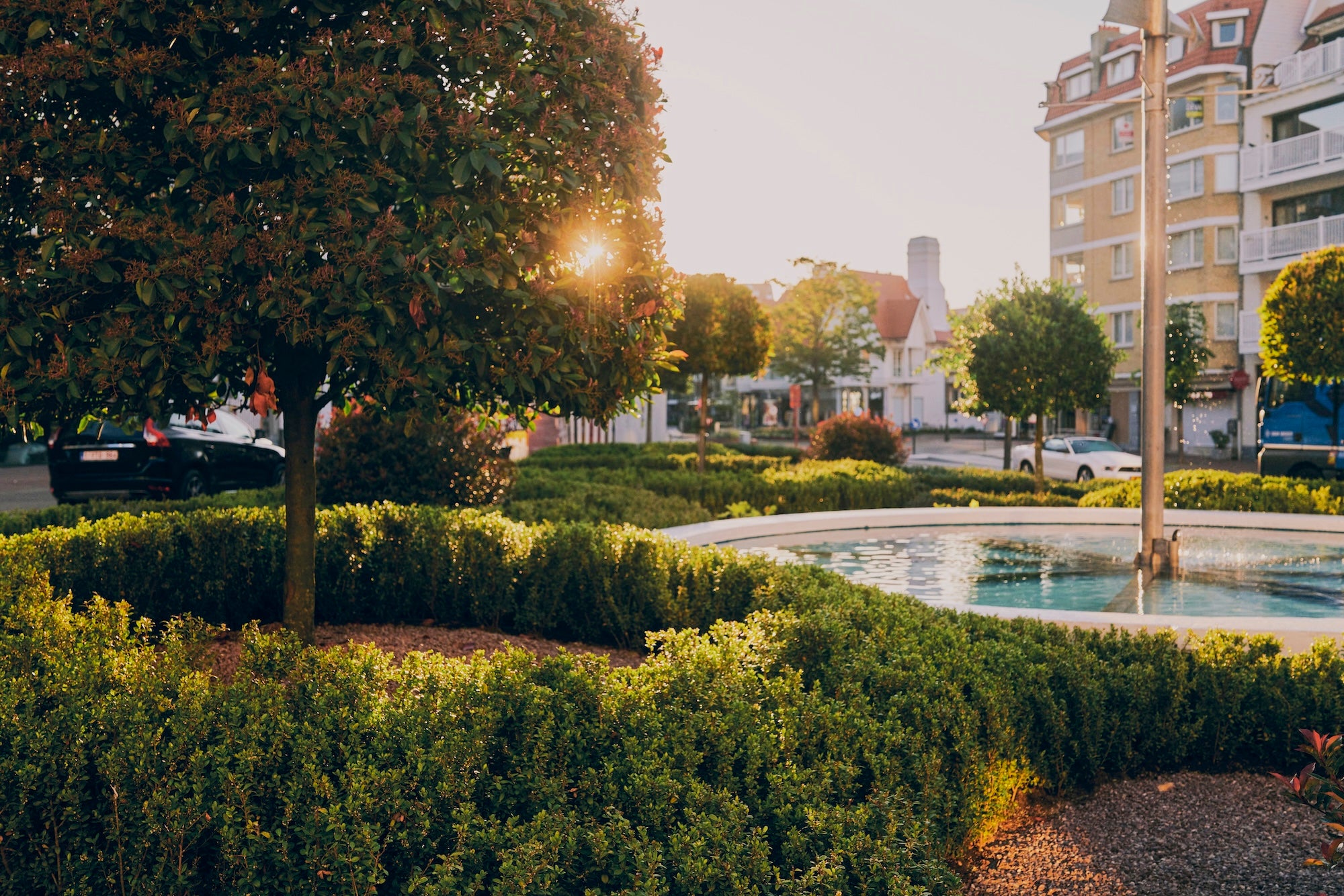 The Civic Garden