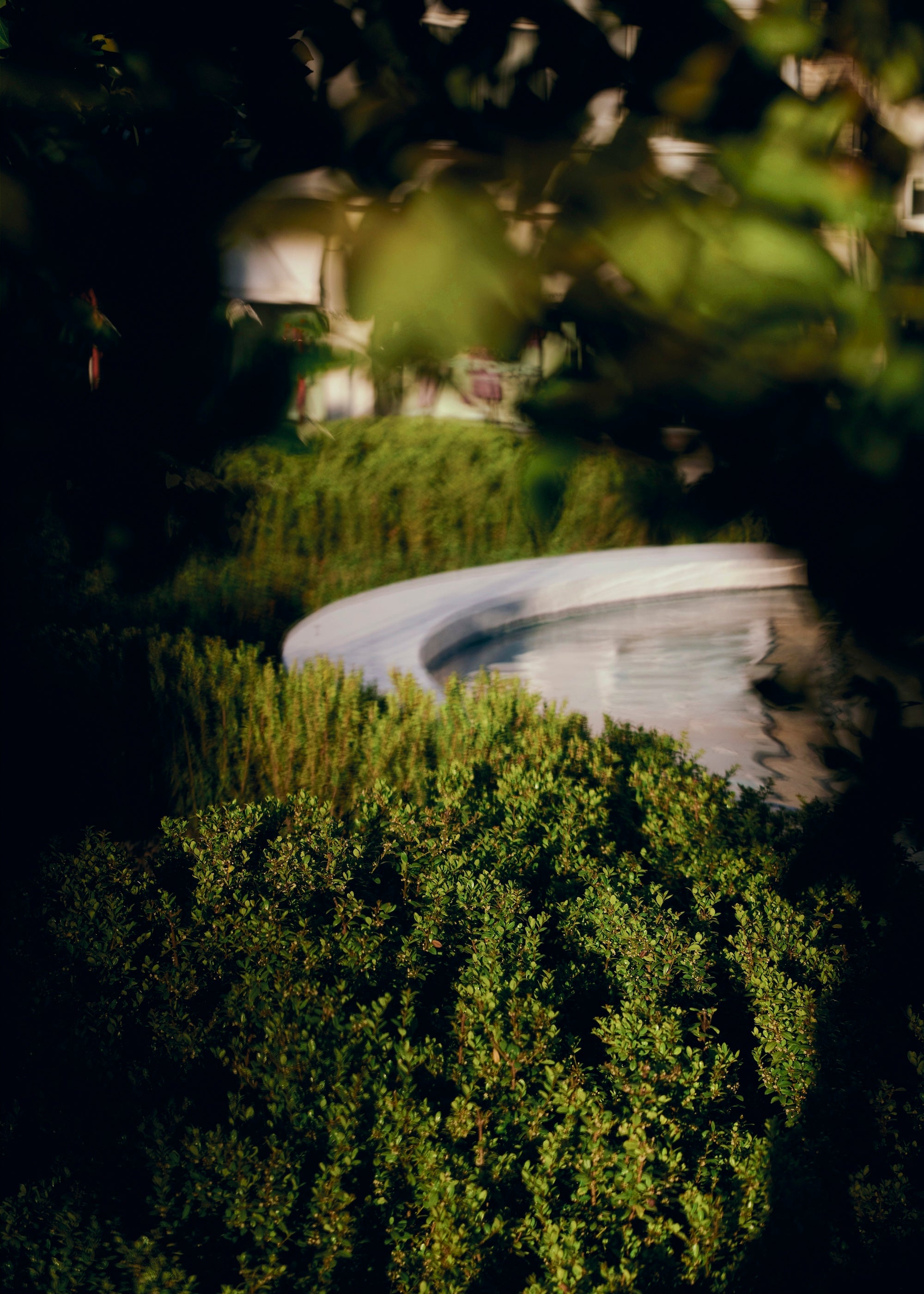 The Civic Garden