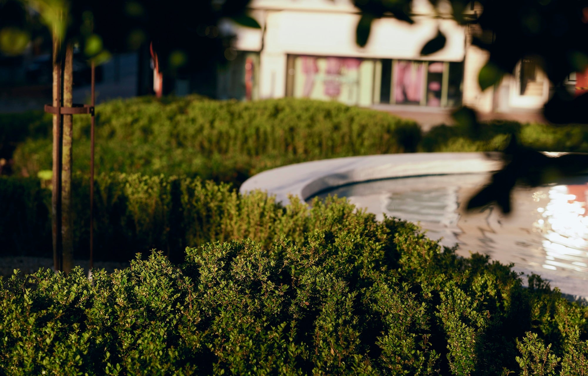 The Civic Garden