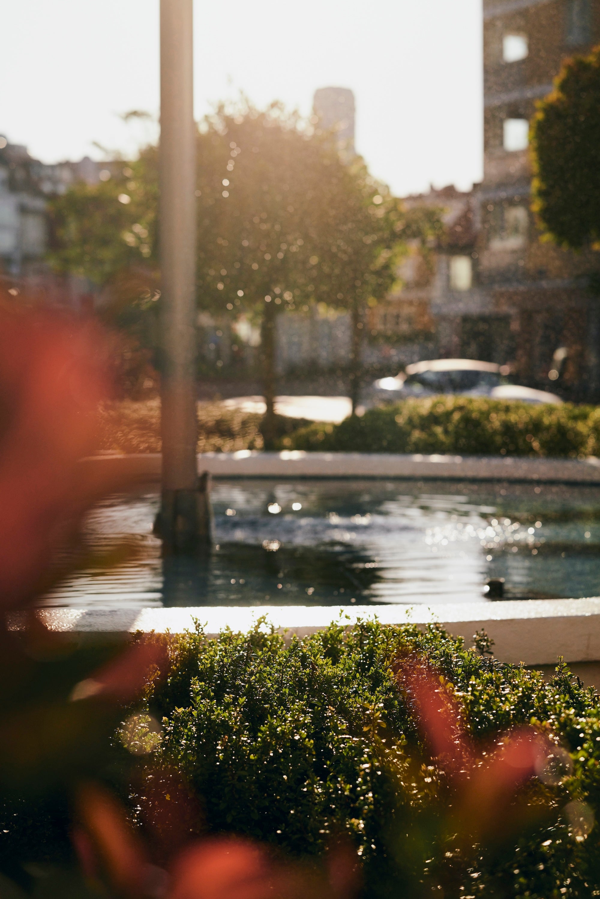 The Civic Garden