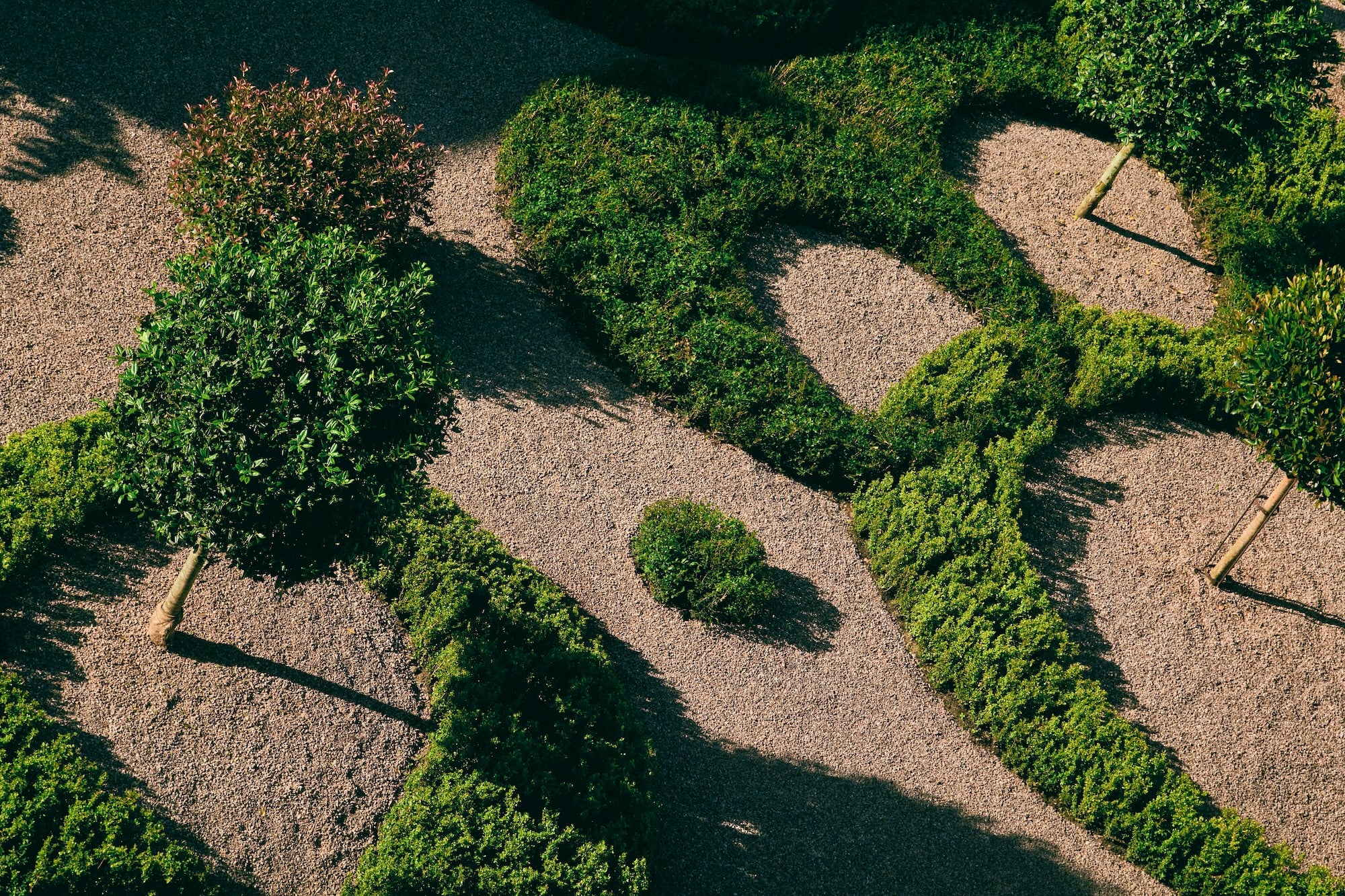 The Civic Garden