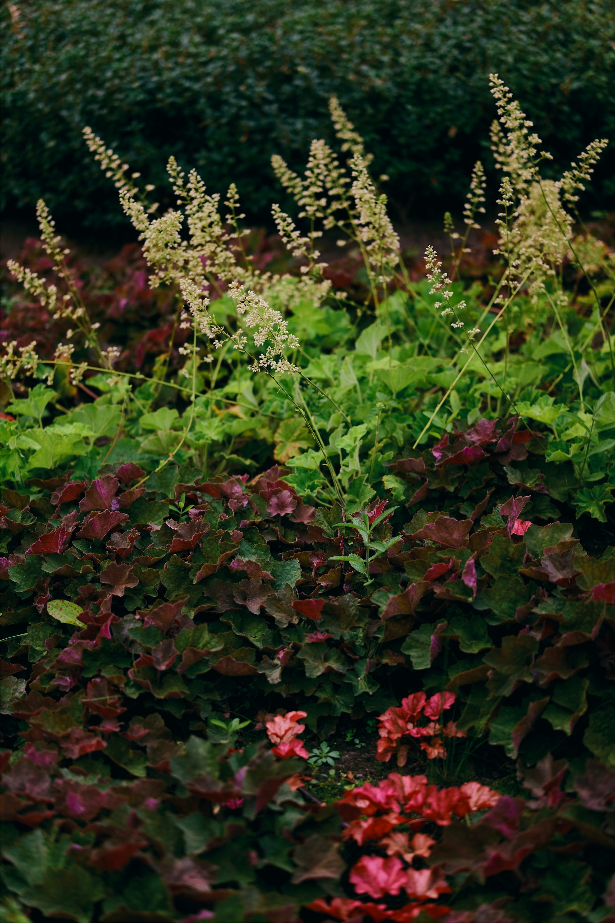 The Civic Garden