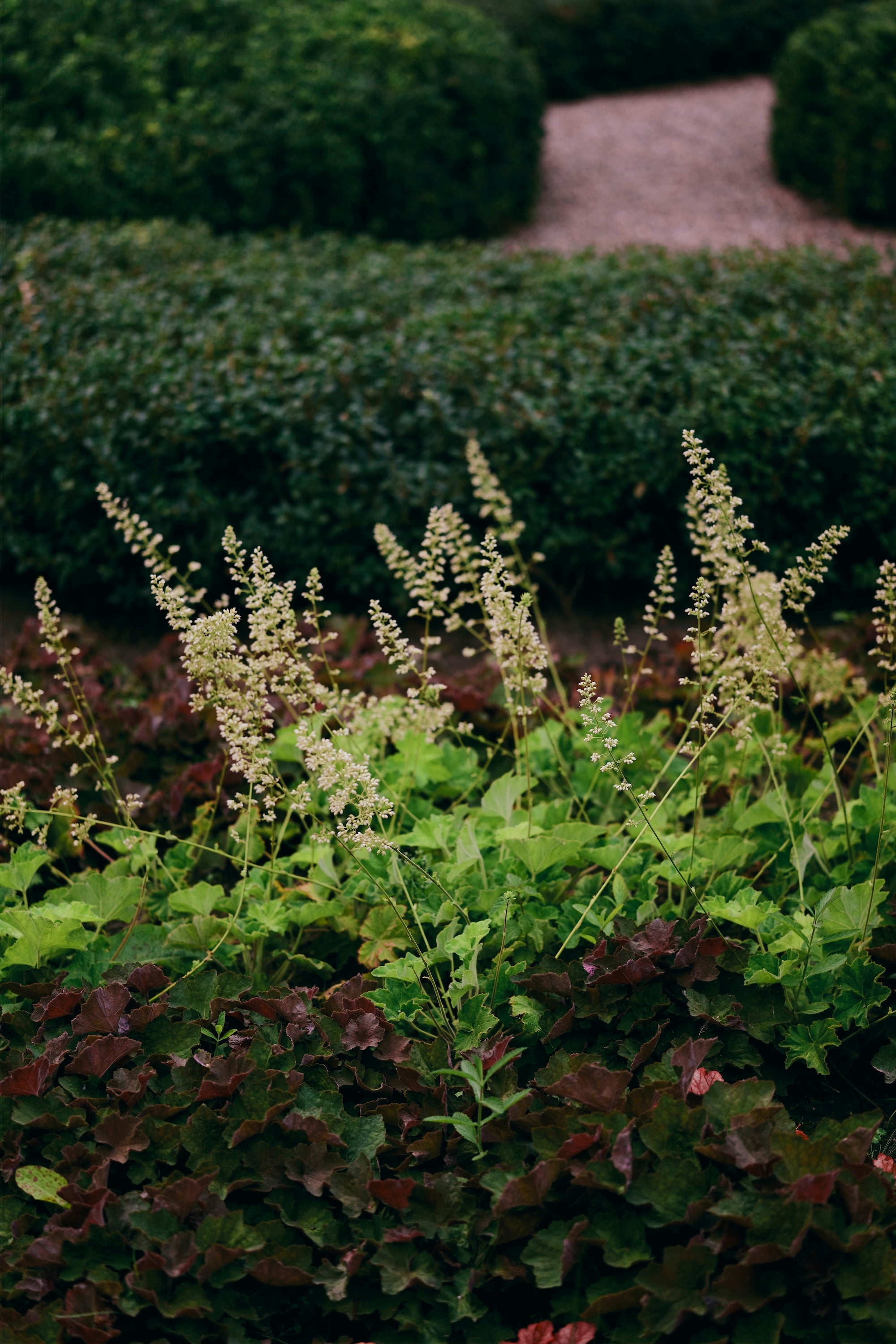 The Civic Garden
