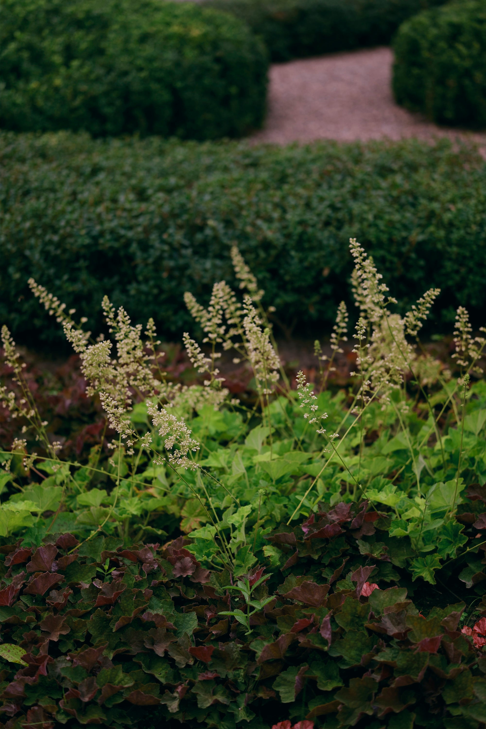 The Civic Garden