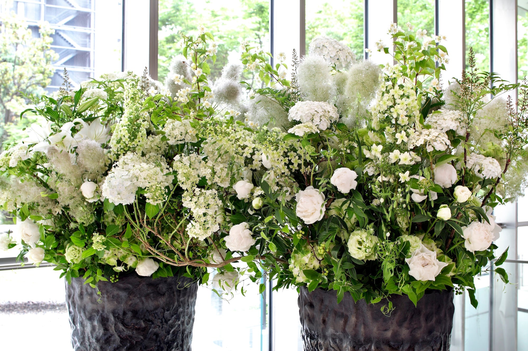 A Dialogue in Bloom