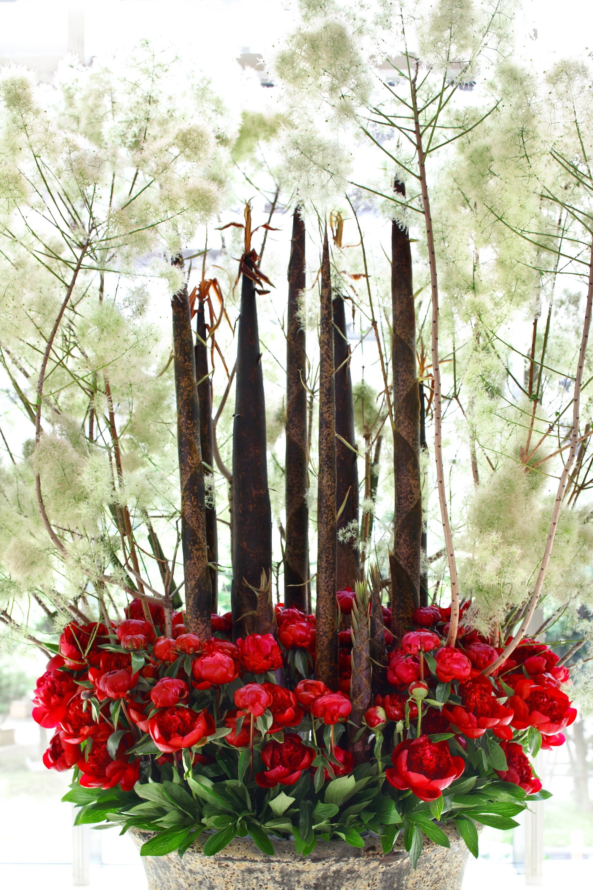 A Dialogue in Bloom