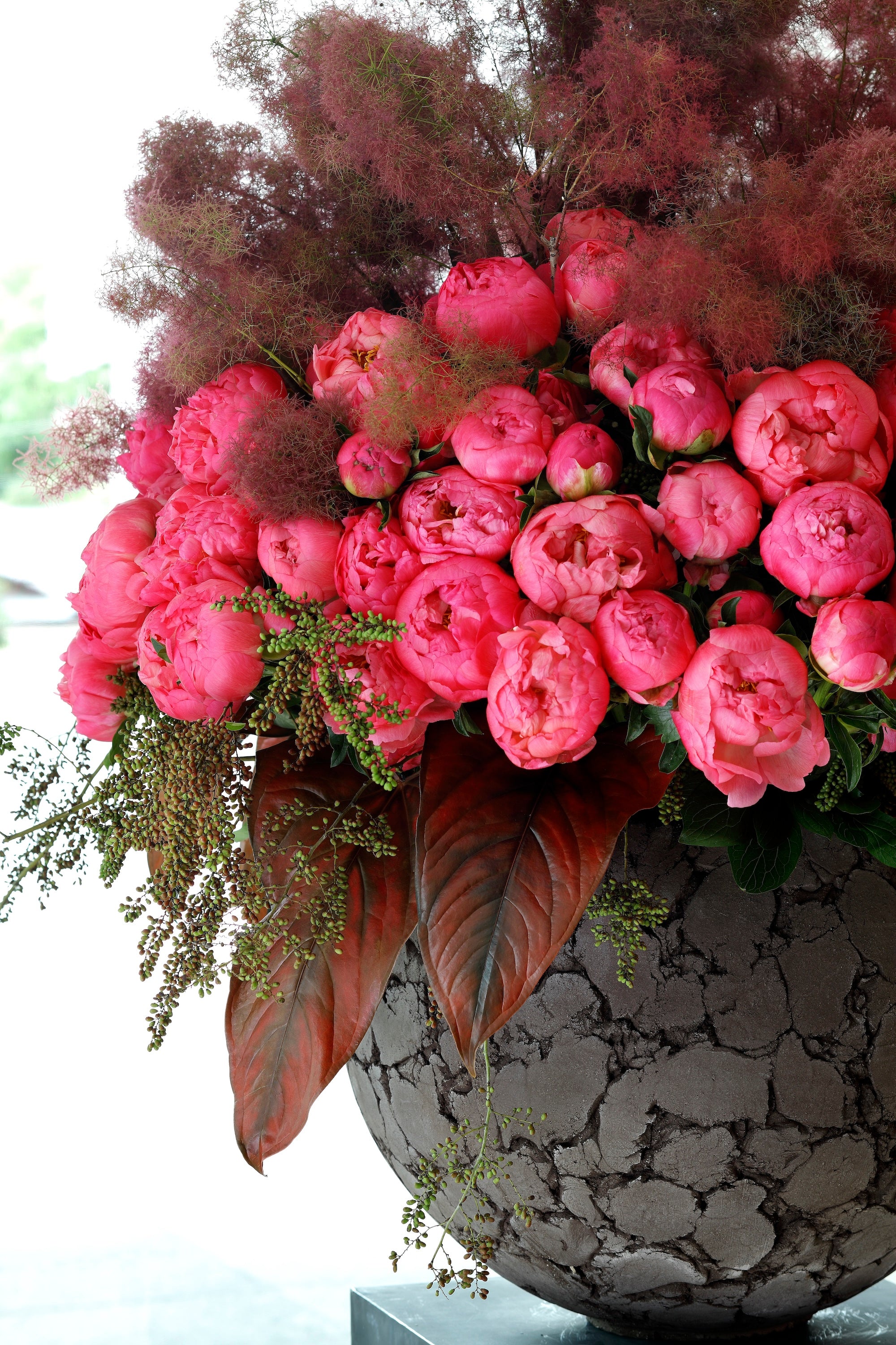 A Dialogue in Bloom