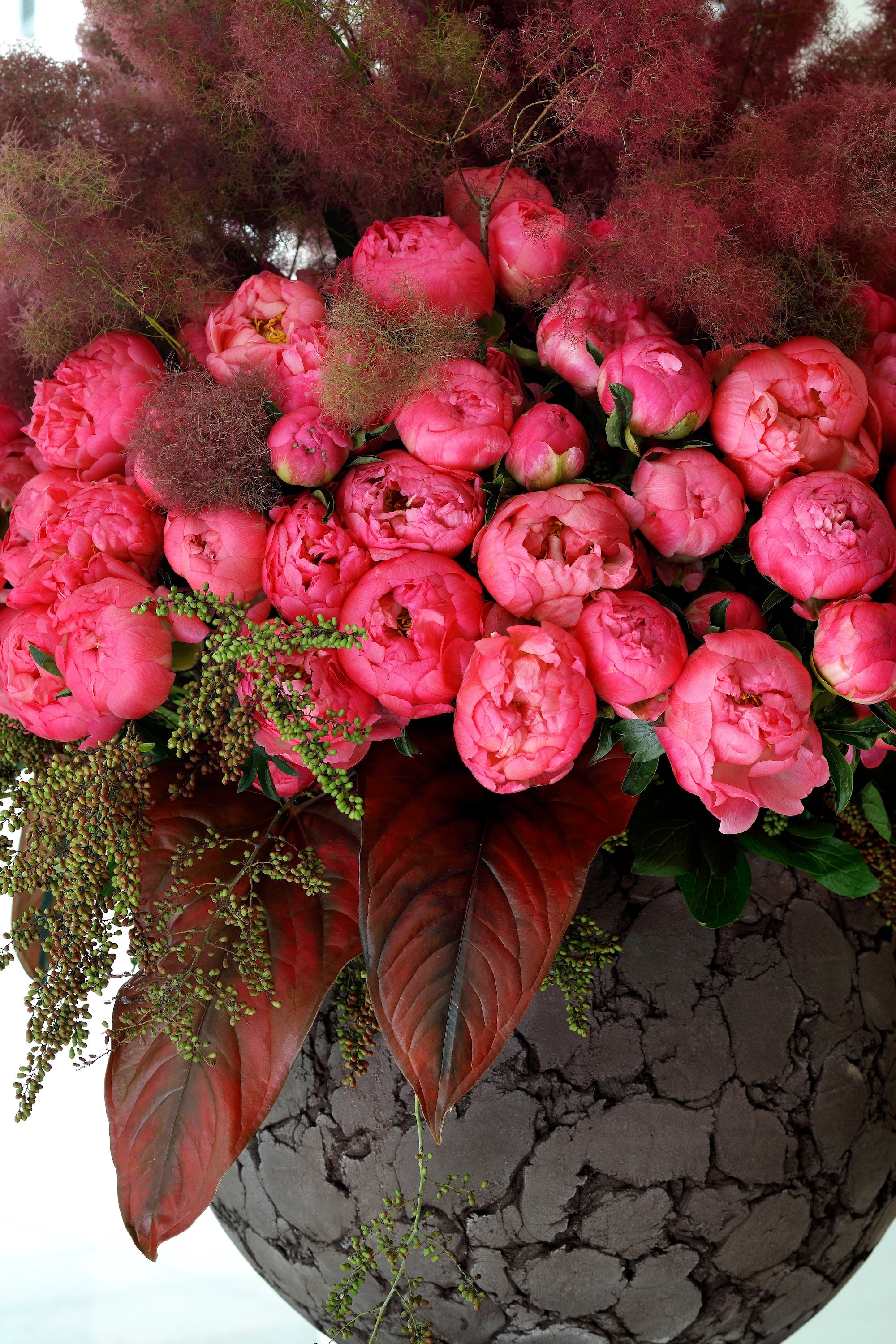 A Dialogue in Bloom