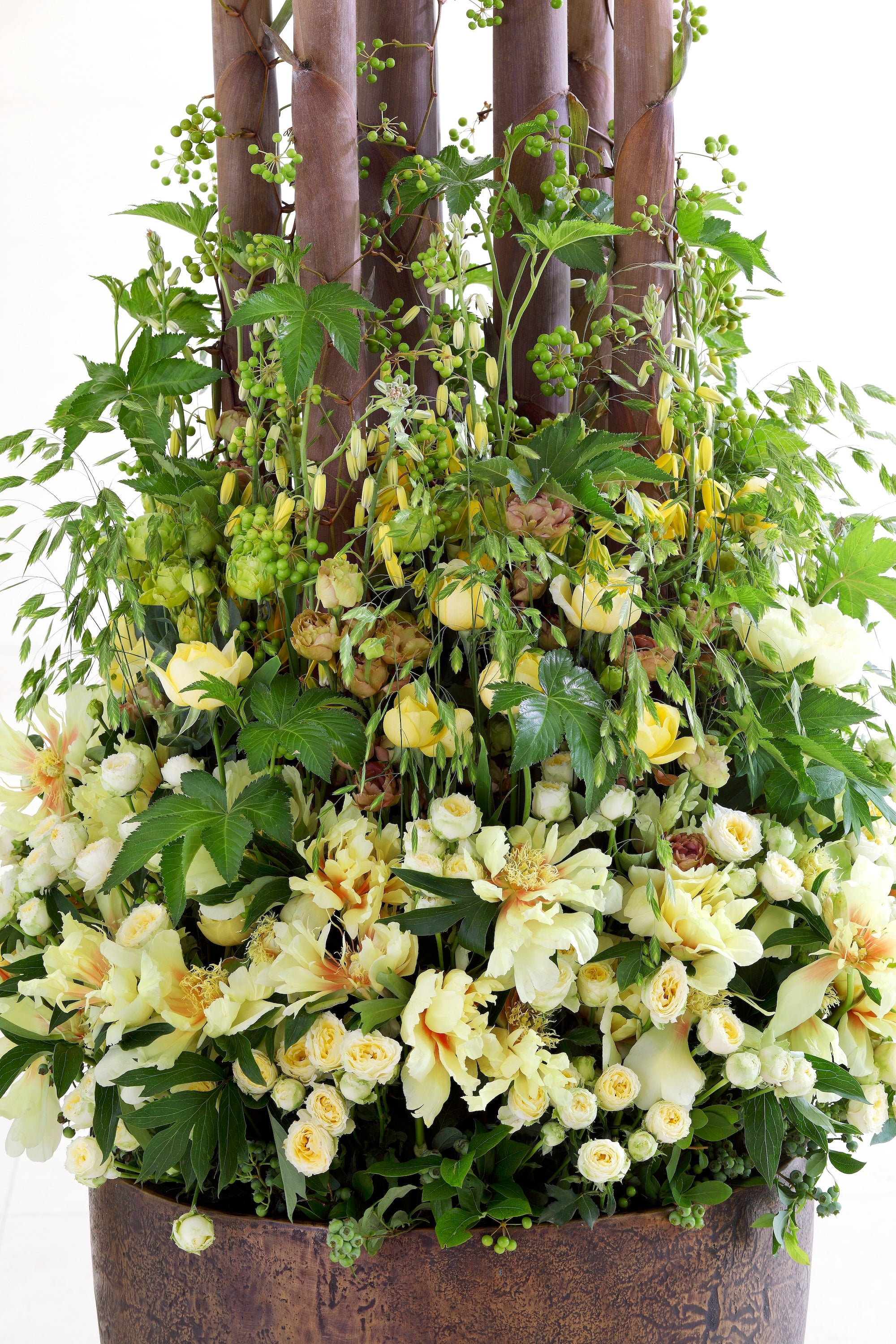 A Dialogue in Bloom