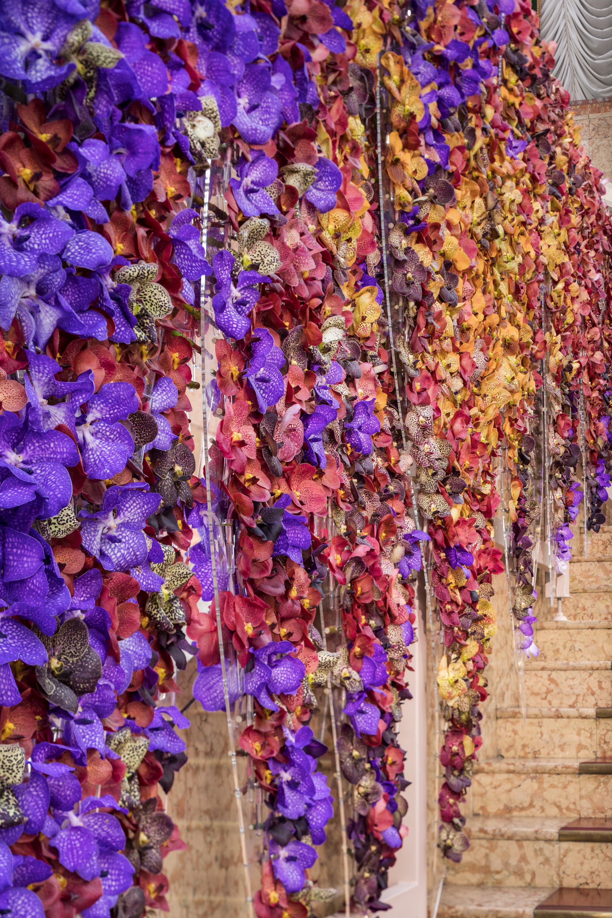 A New Chapter in Bloom