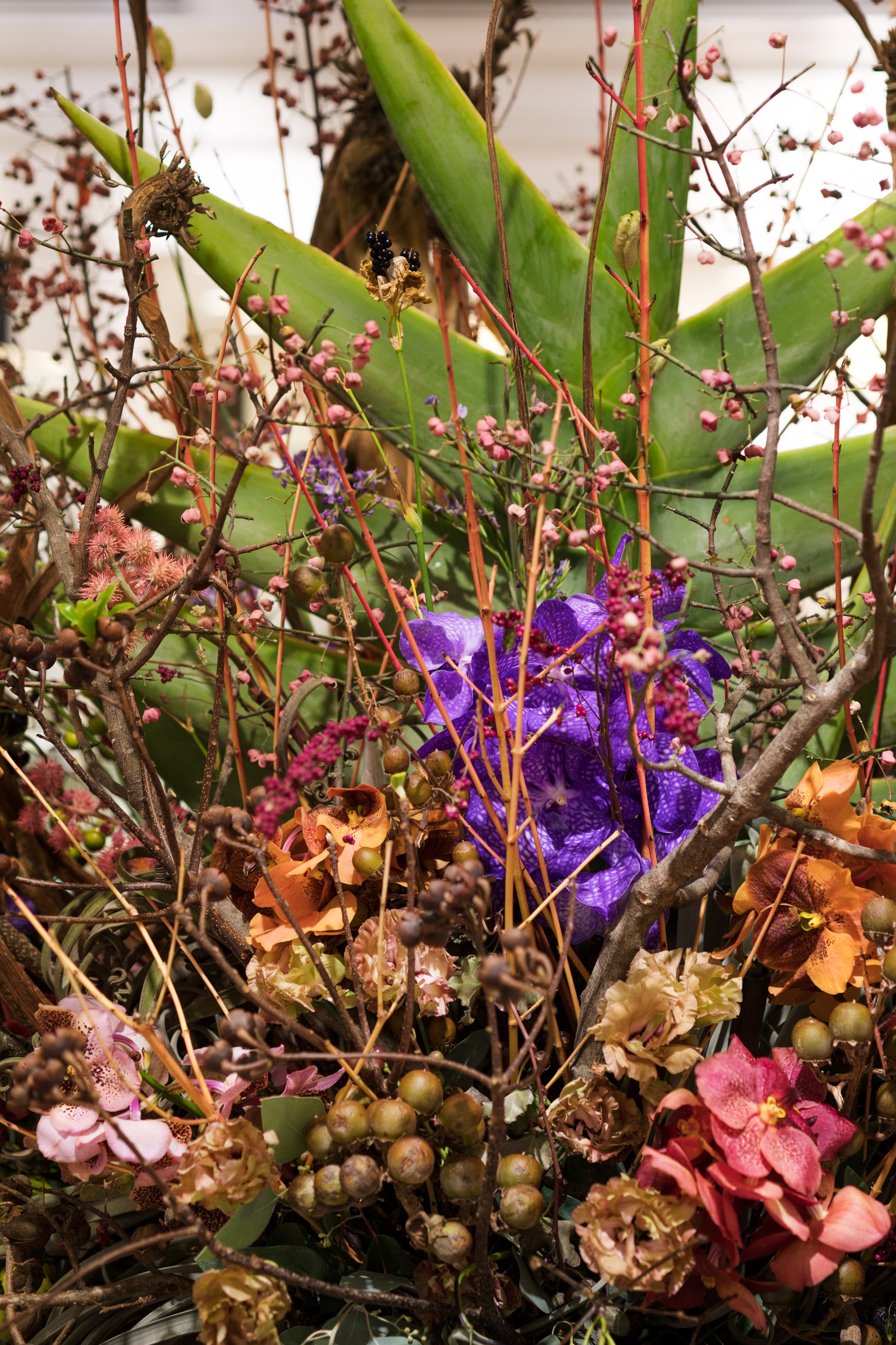A New Chapter in Bloom