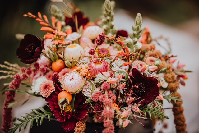 Autumn Vows