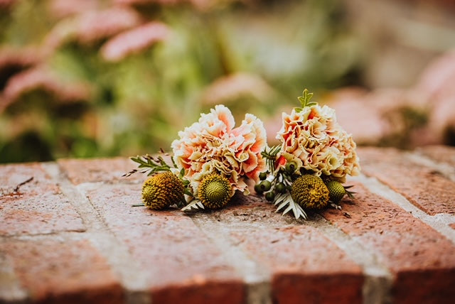 Autumn Vows