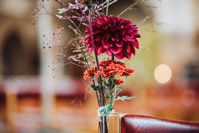 Autumn Vows