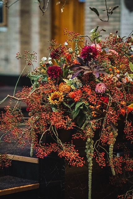 Autumn Vows