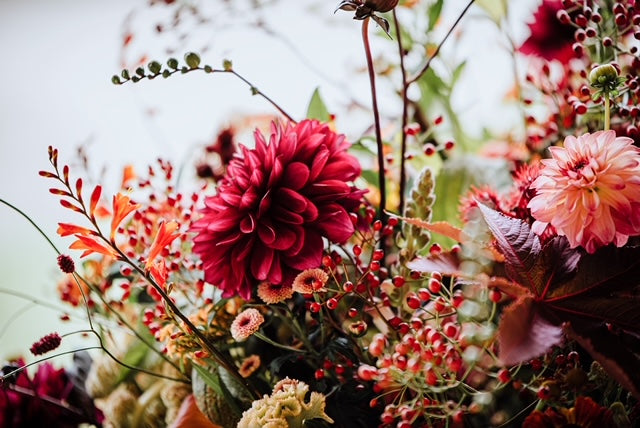 Autumn Vows