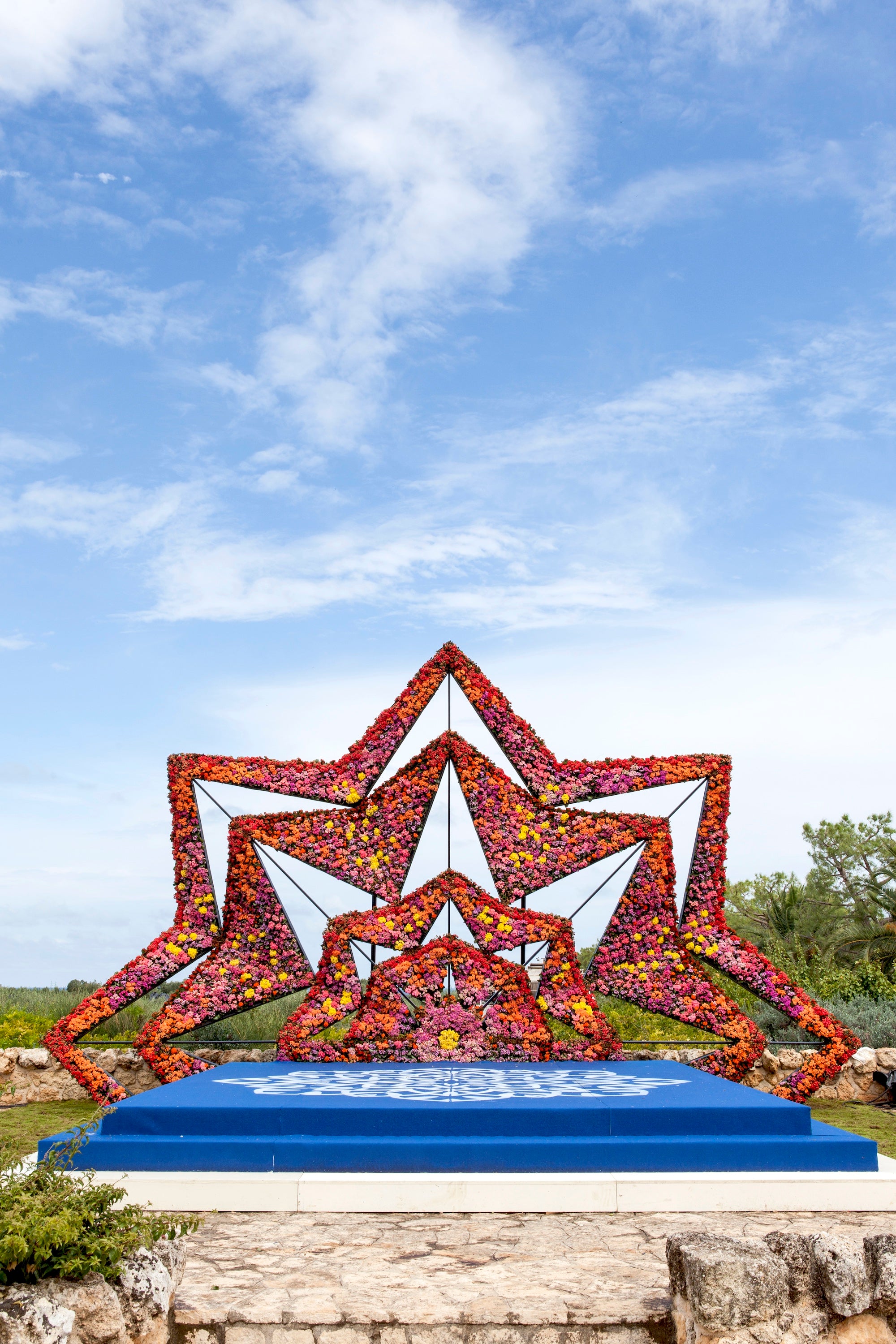 A Mandala in Bloom