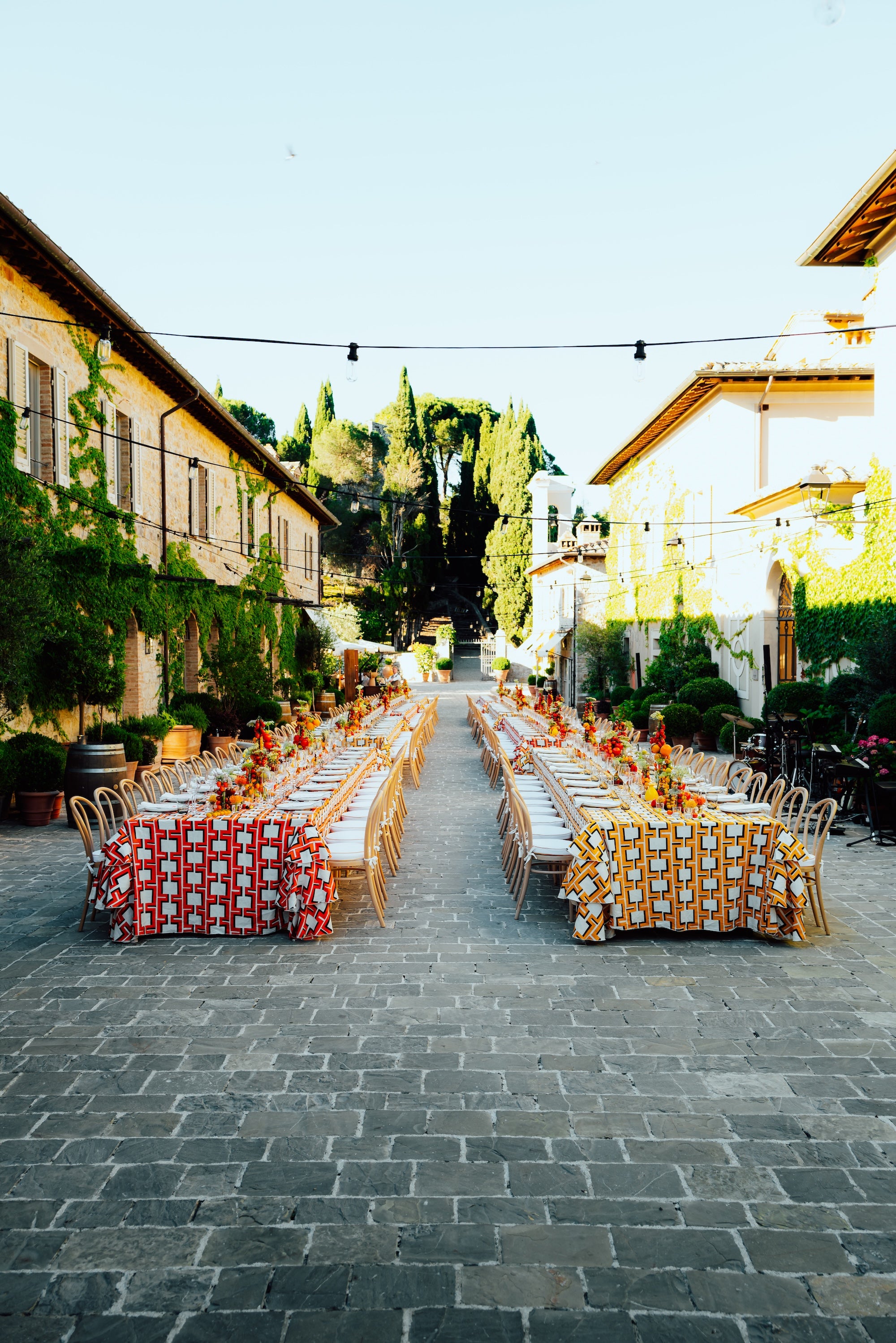 A Tuscan Harvest
