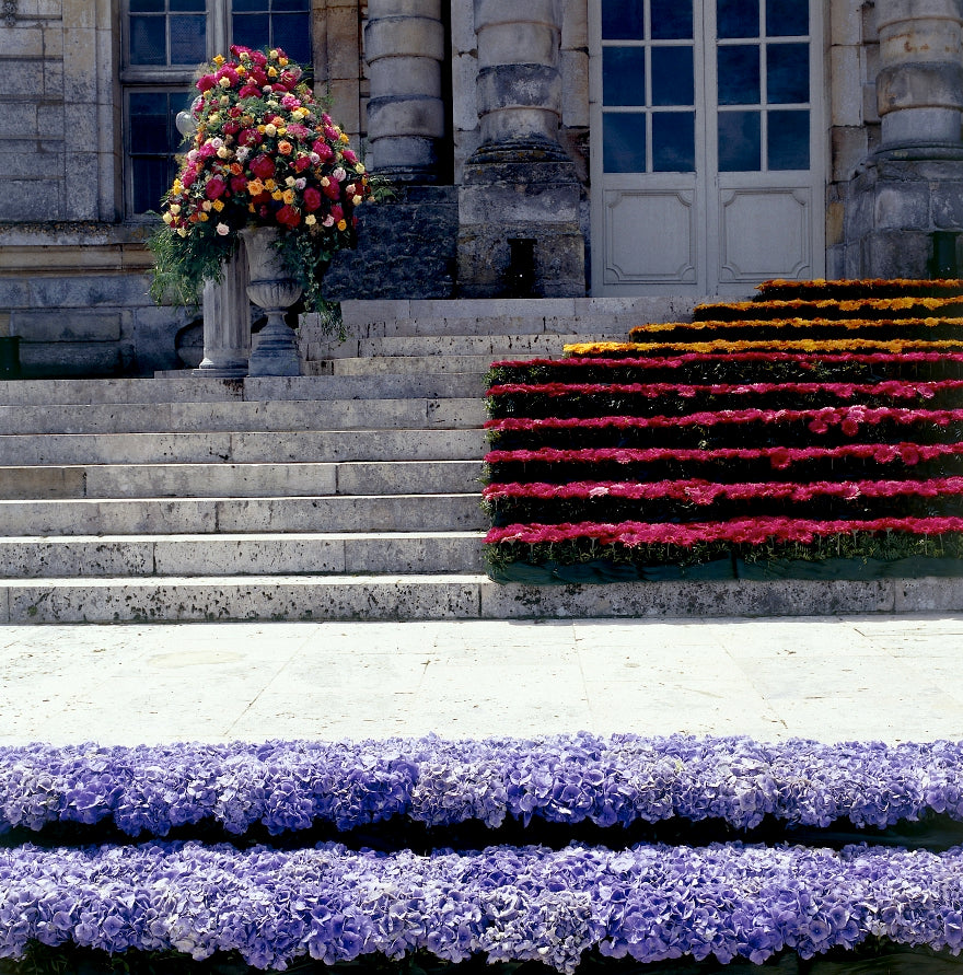 A Château in Colour