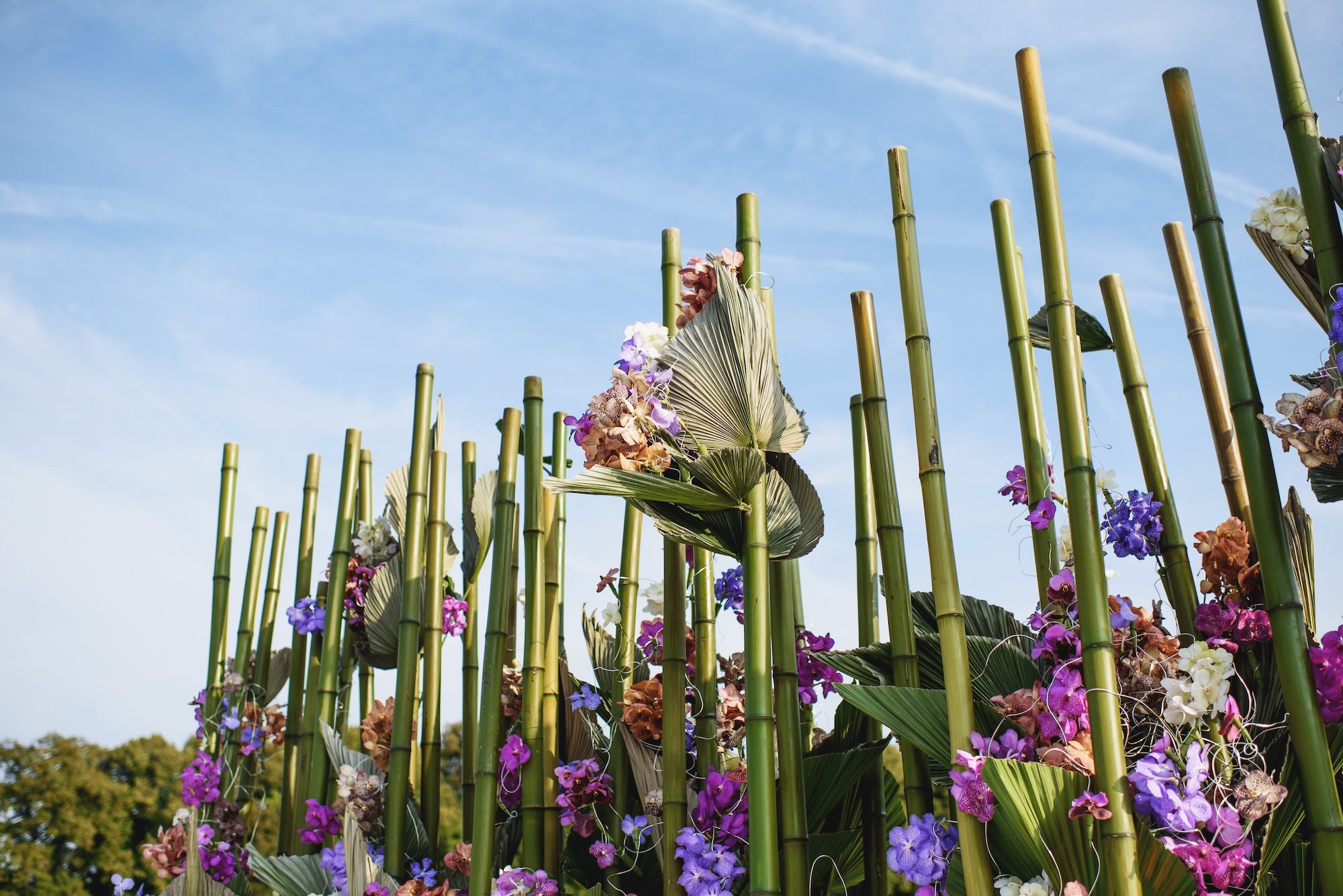 The Château in Bloom