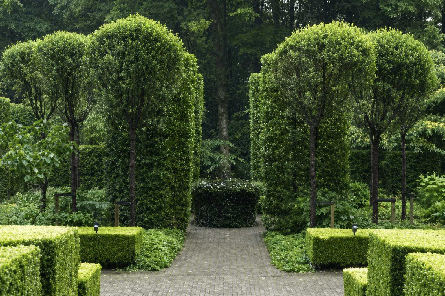 Nature in Order