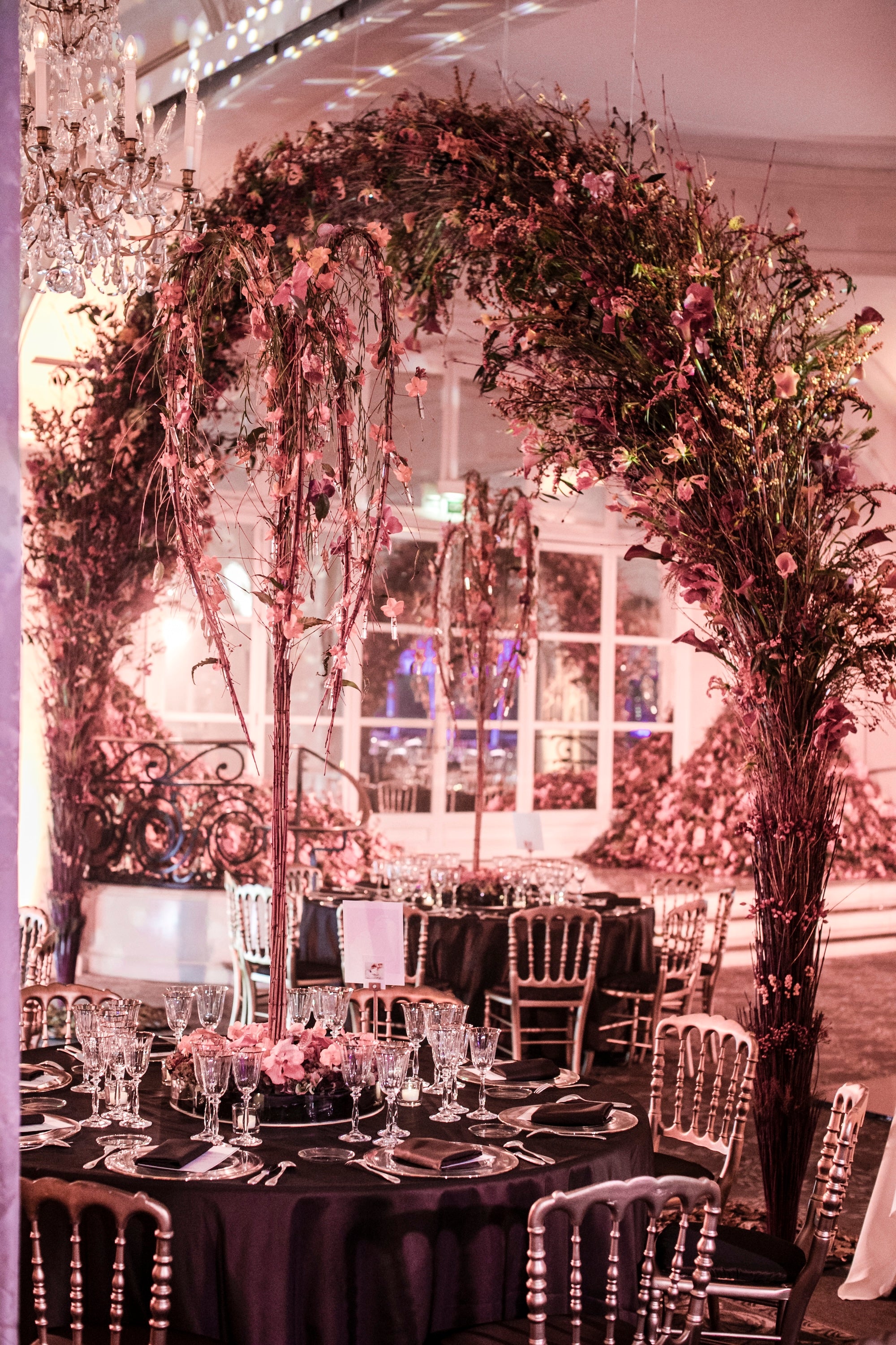 An Autumn Reverie in Paris