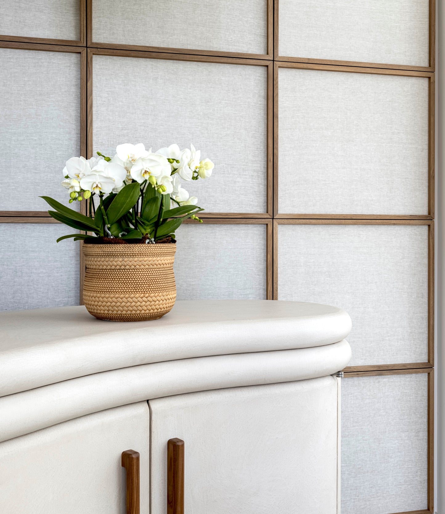 Signature Serene Orchid