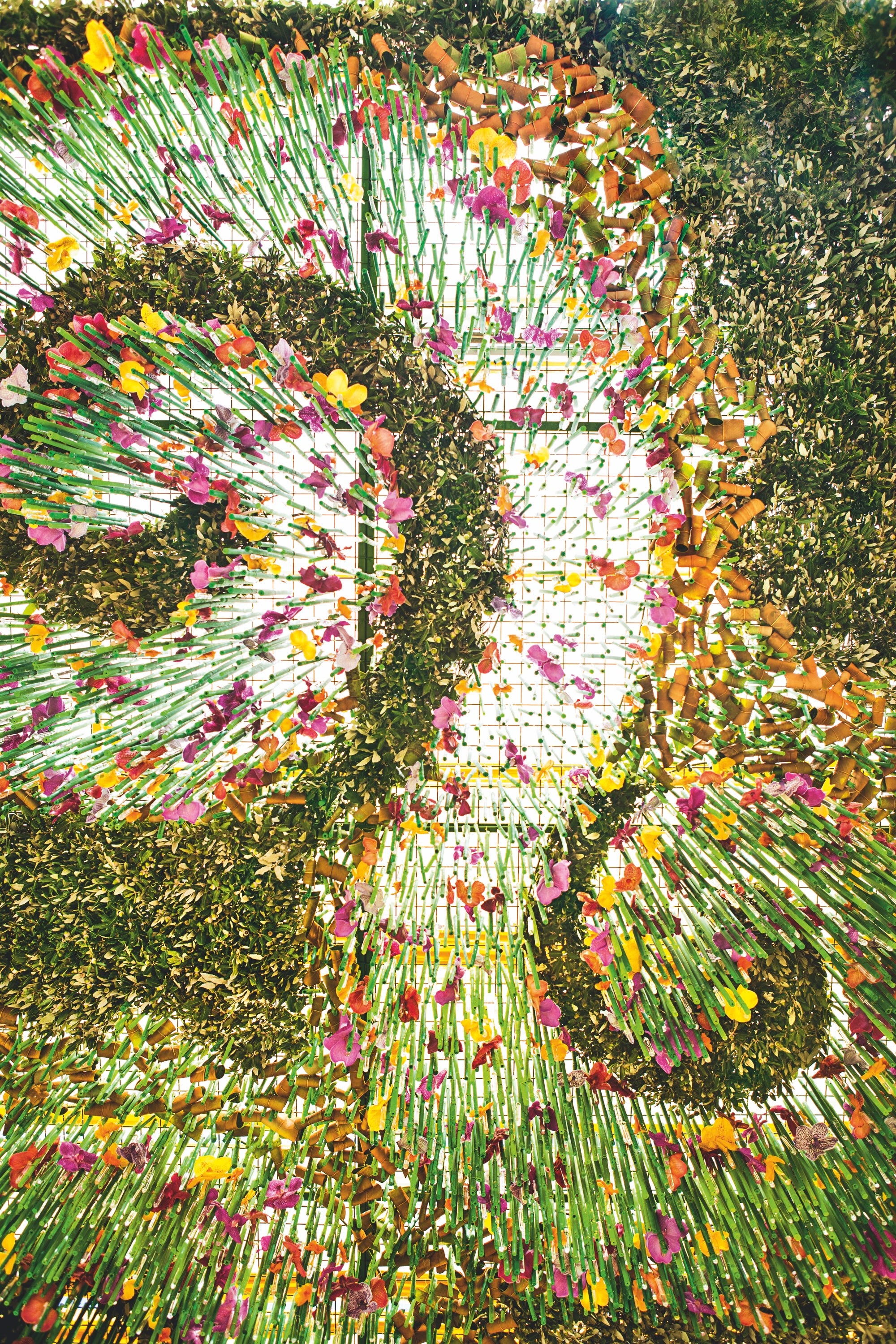 A Mandala in Bloom