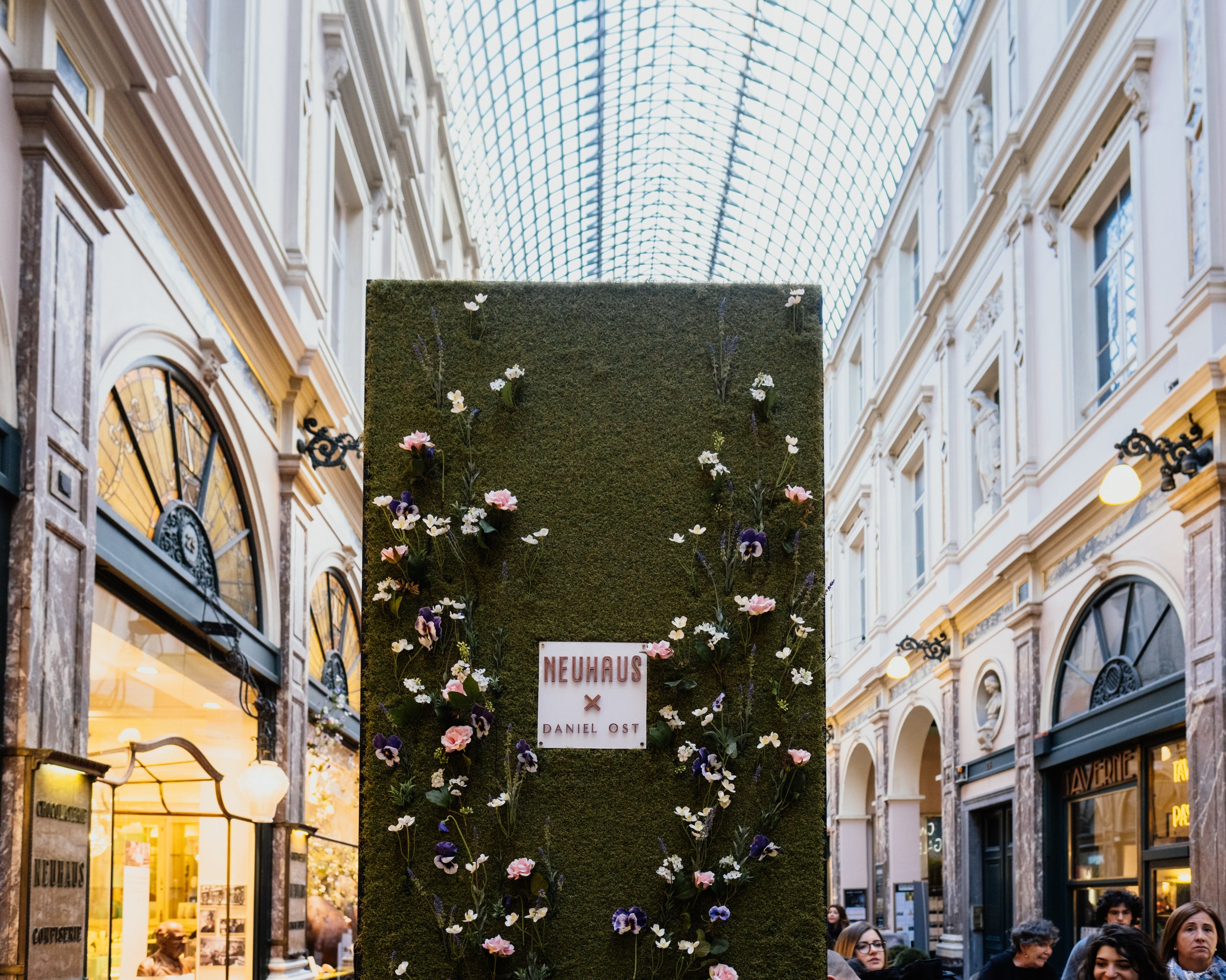 Where Chocolate Blooms