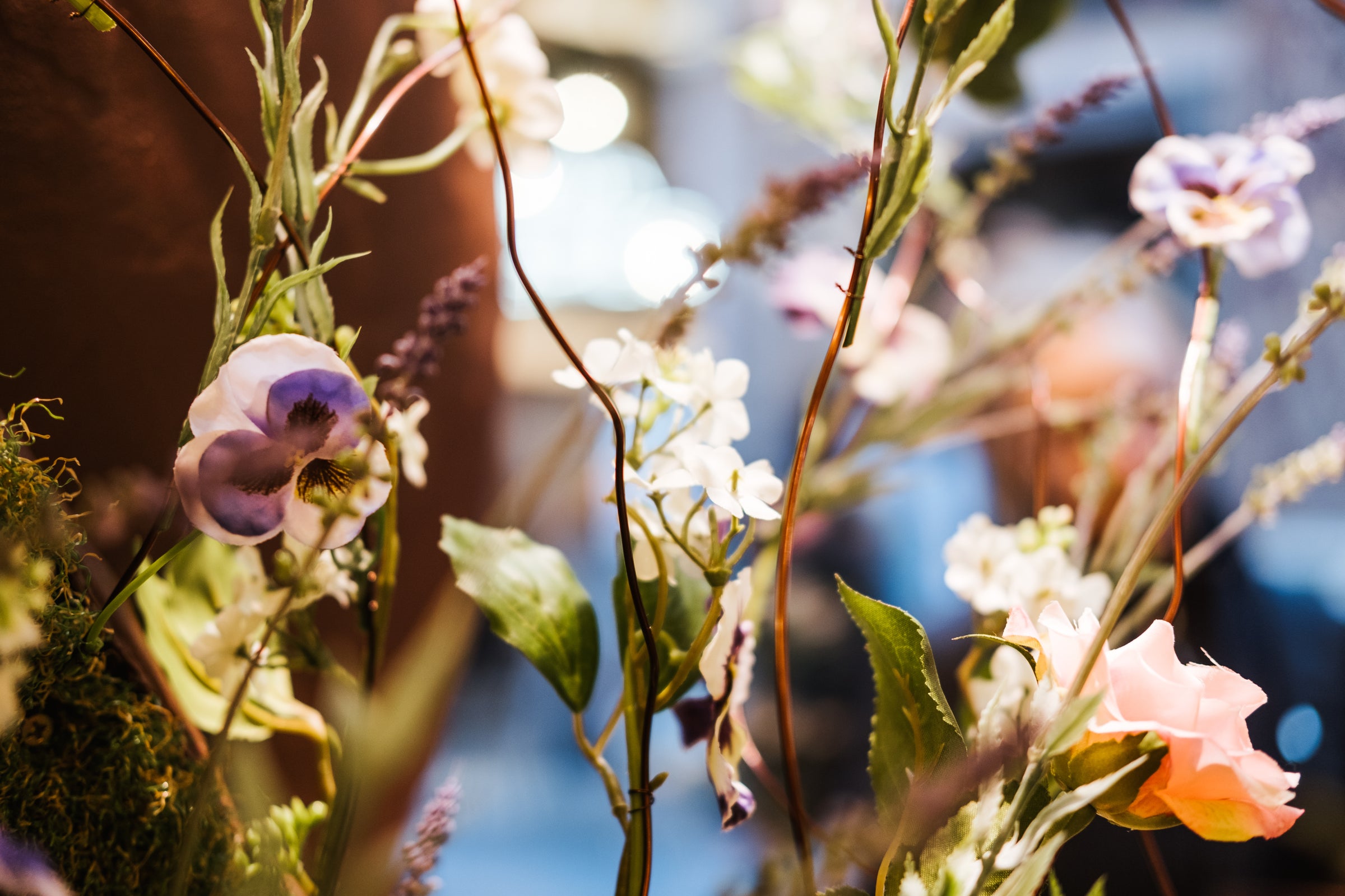 Where Chocolate Blooms
