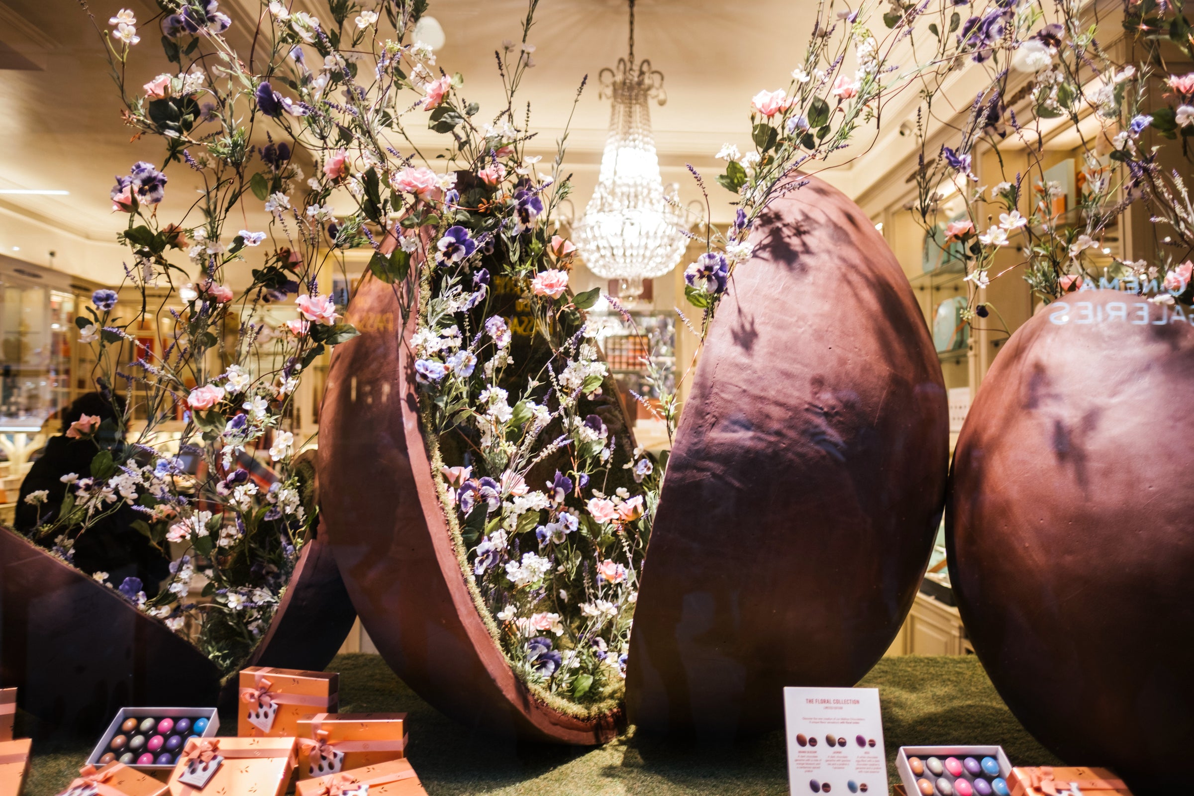 Where Chocolate Blooms