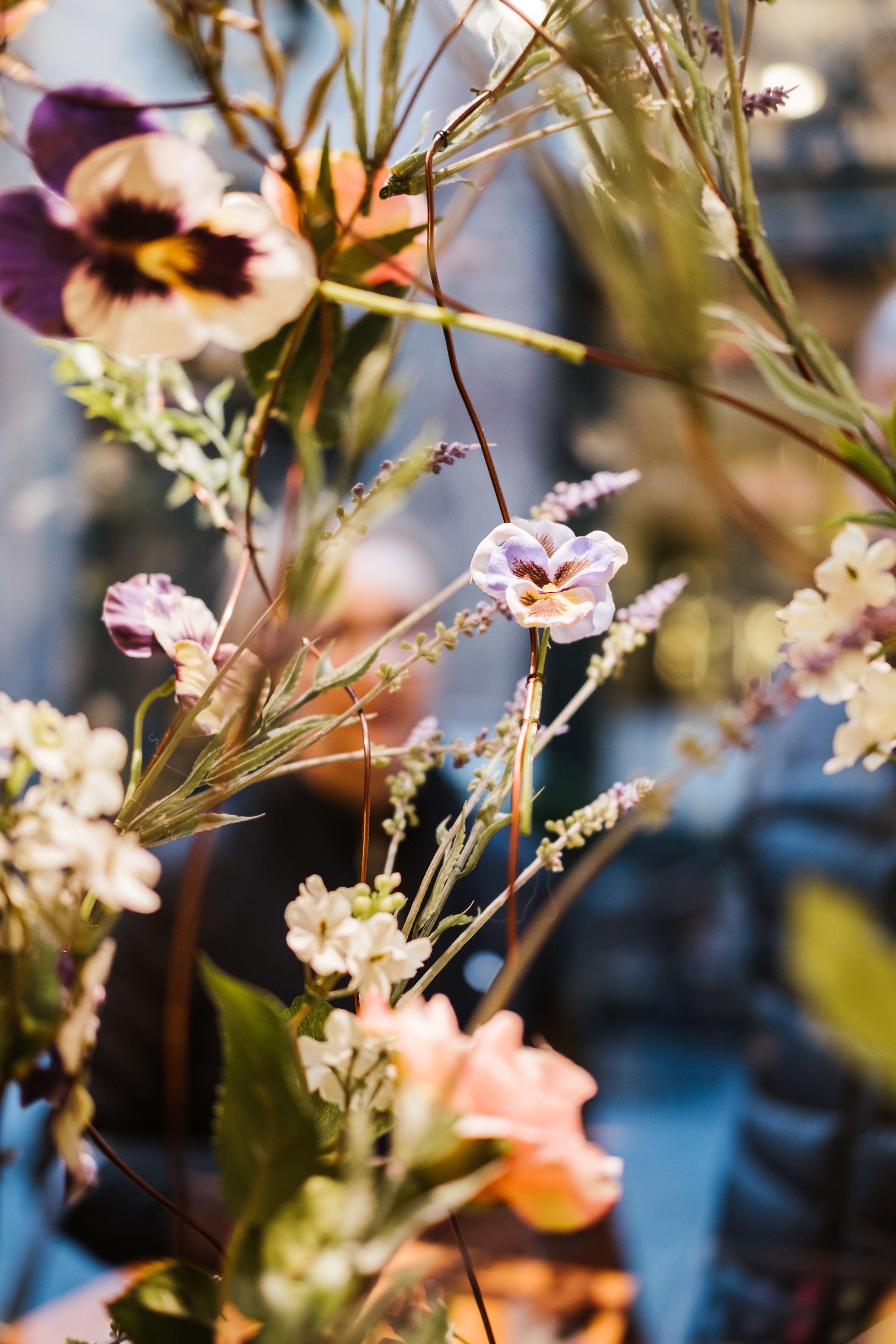Where Chocolate Blooms
