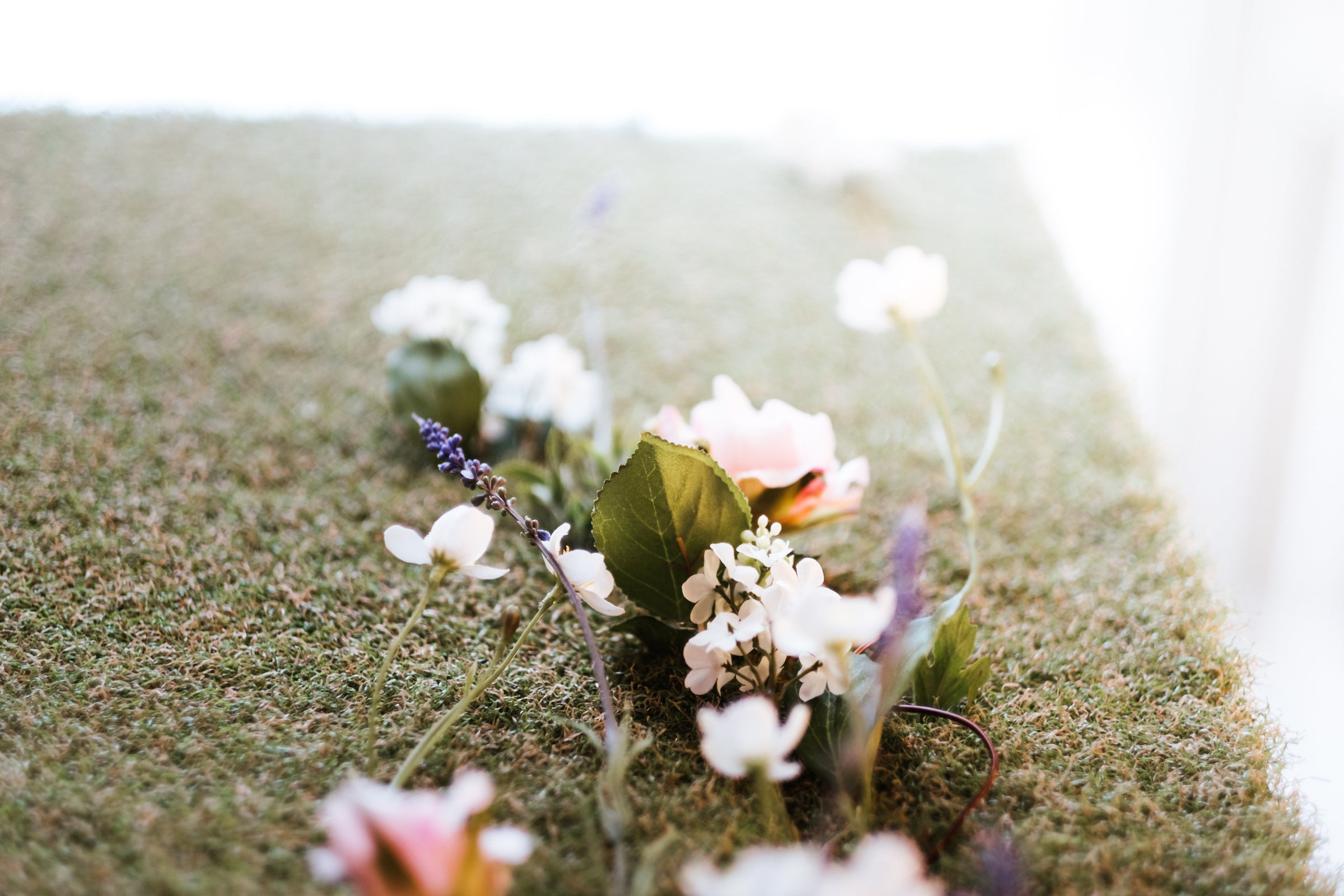 Where Chocolate Blooms
