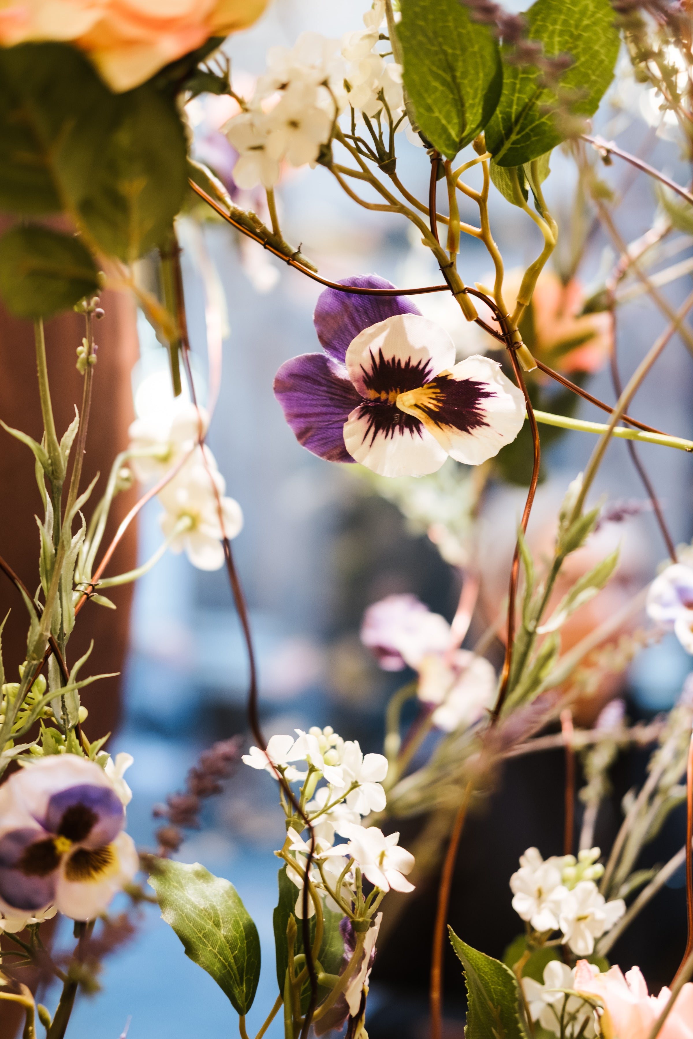 Where Chocolate Blooms