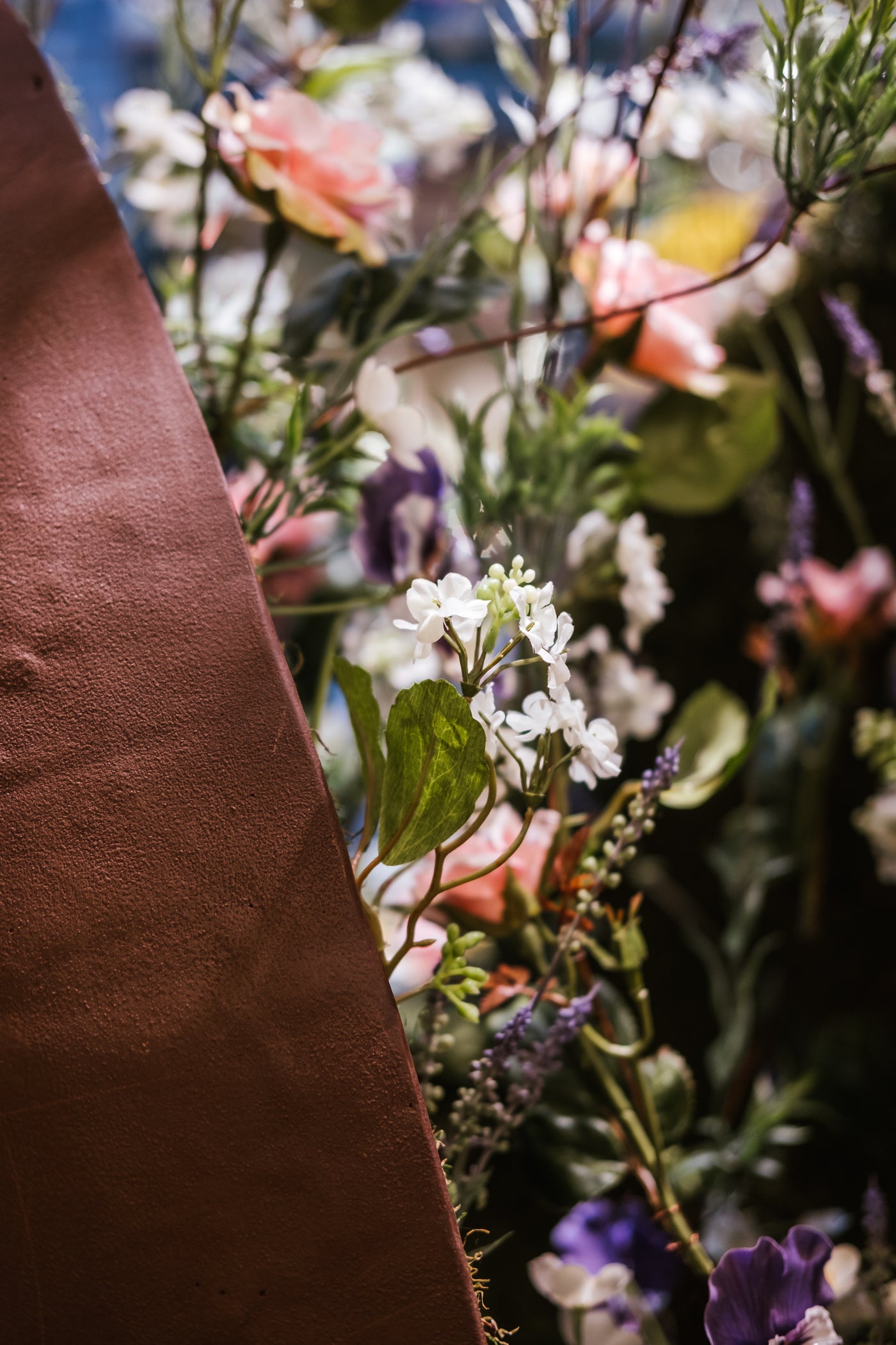 Where Chocolate Blooms