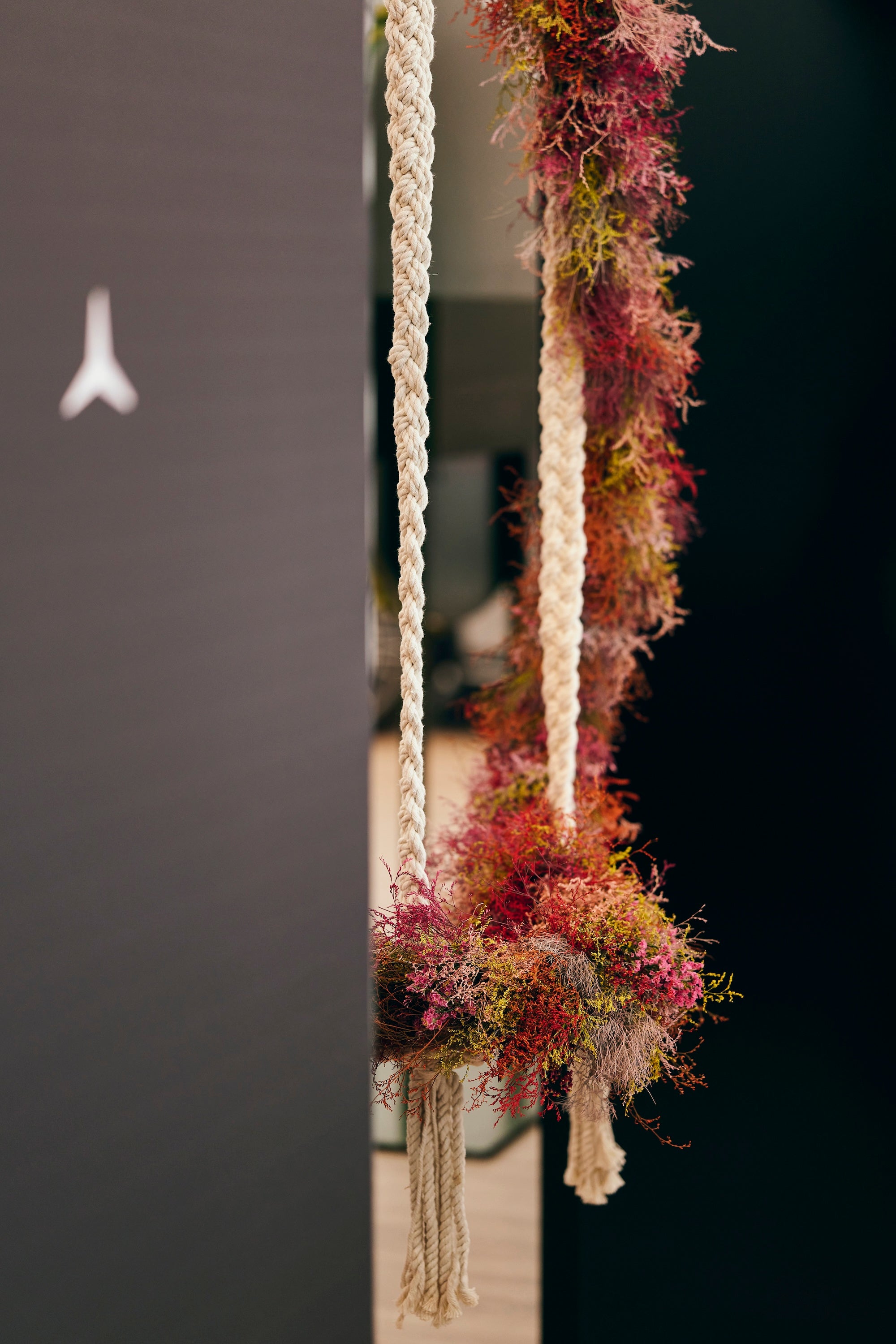 A Legend in Bloom