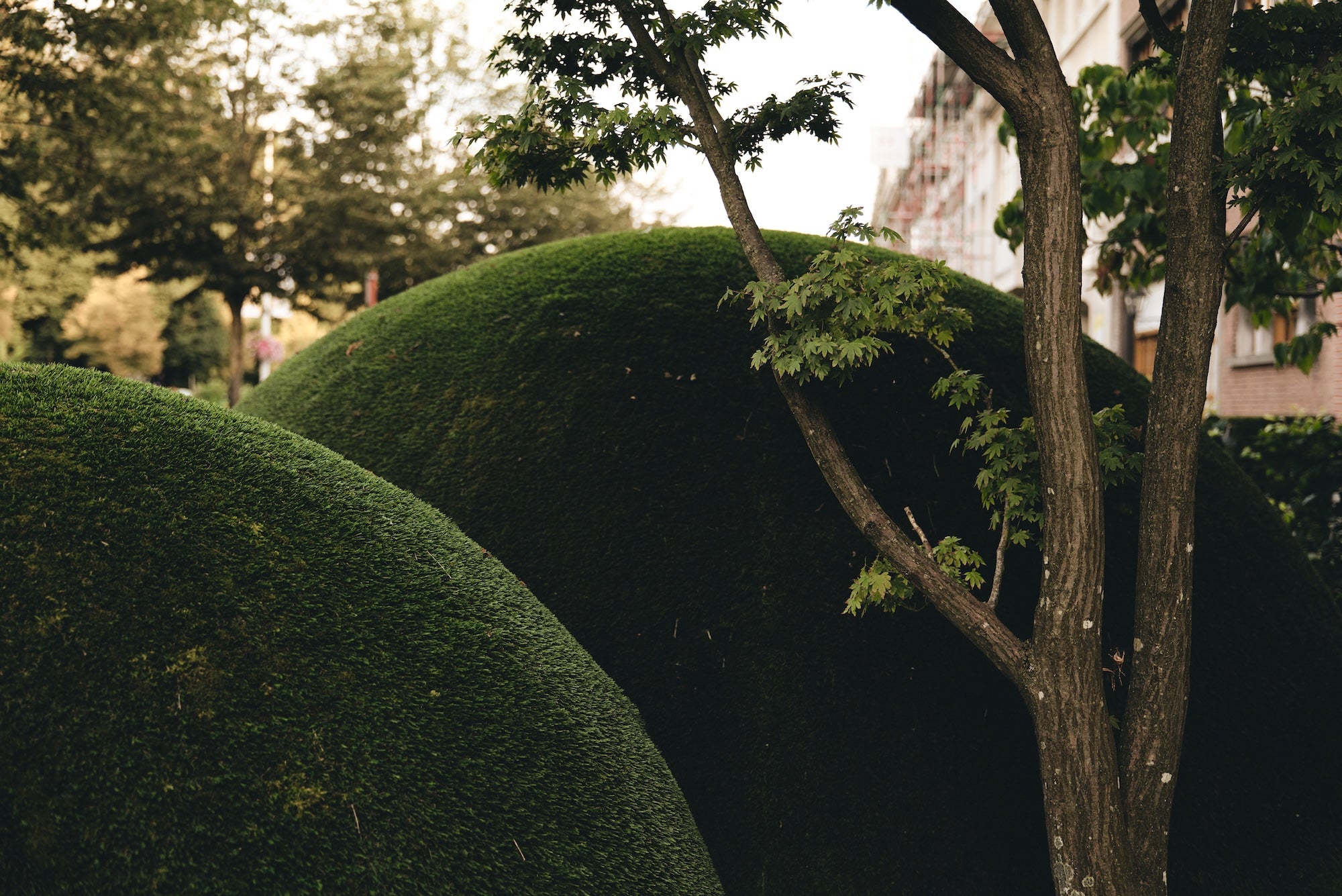 The Sculpted Threshold