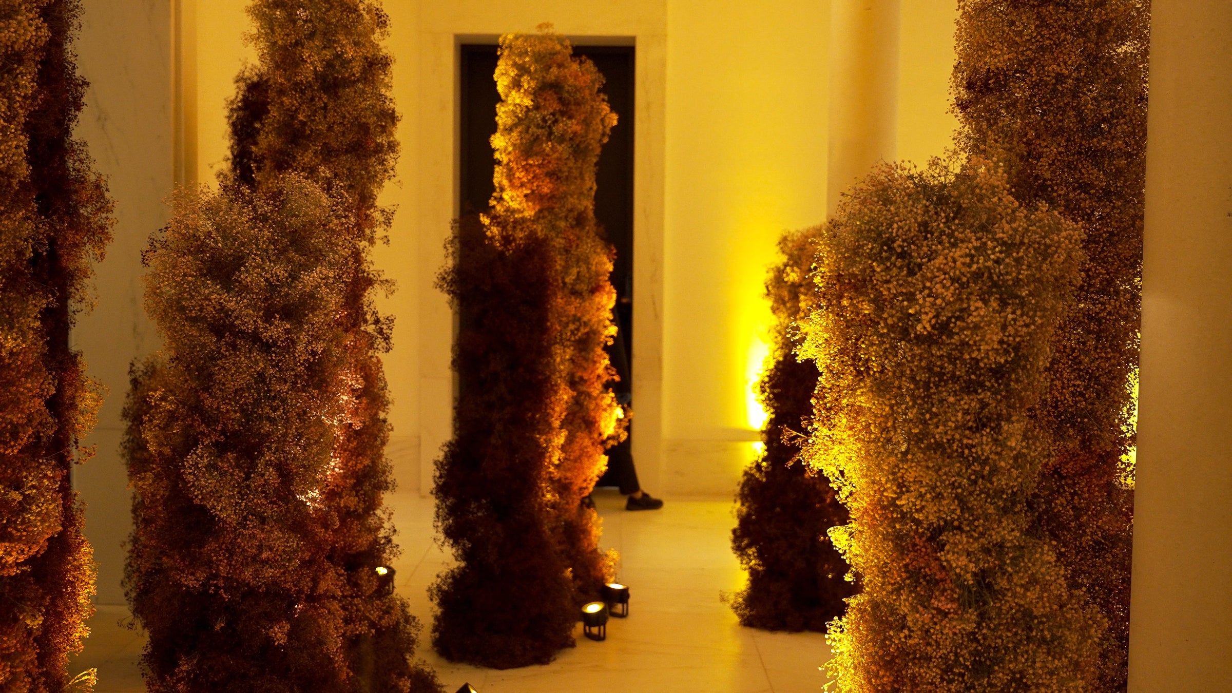 The Botanical Runway