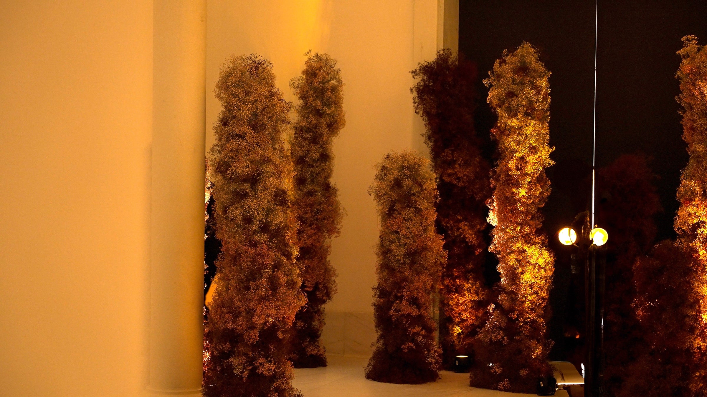 The Botanical Runway
