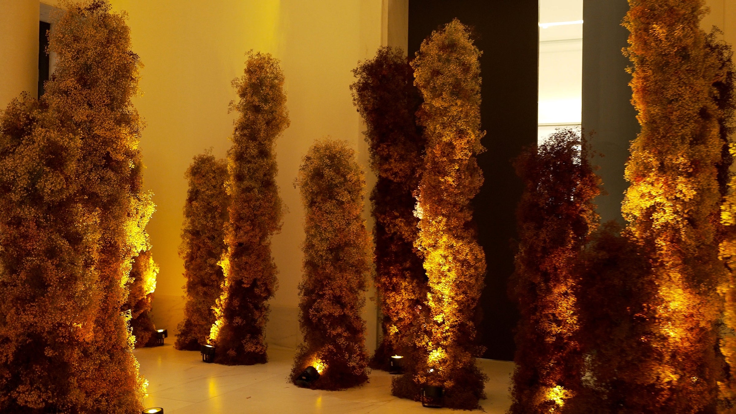 The Botanical Runway