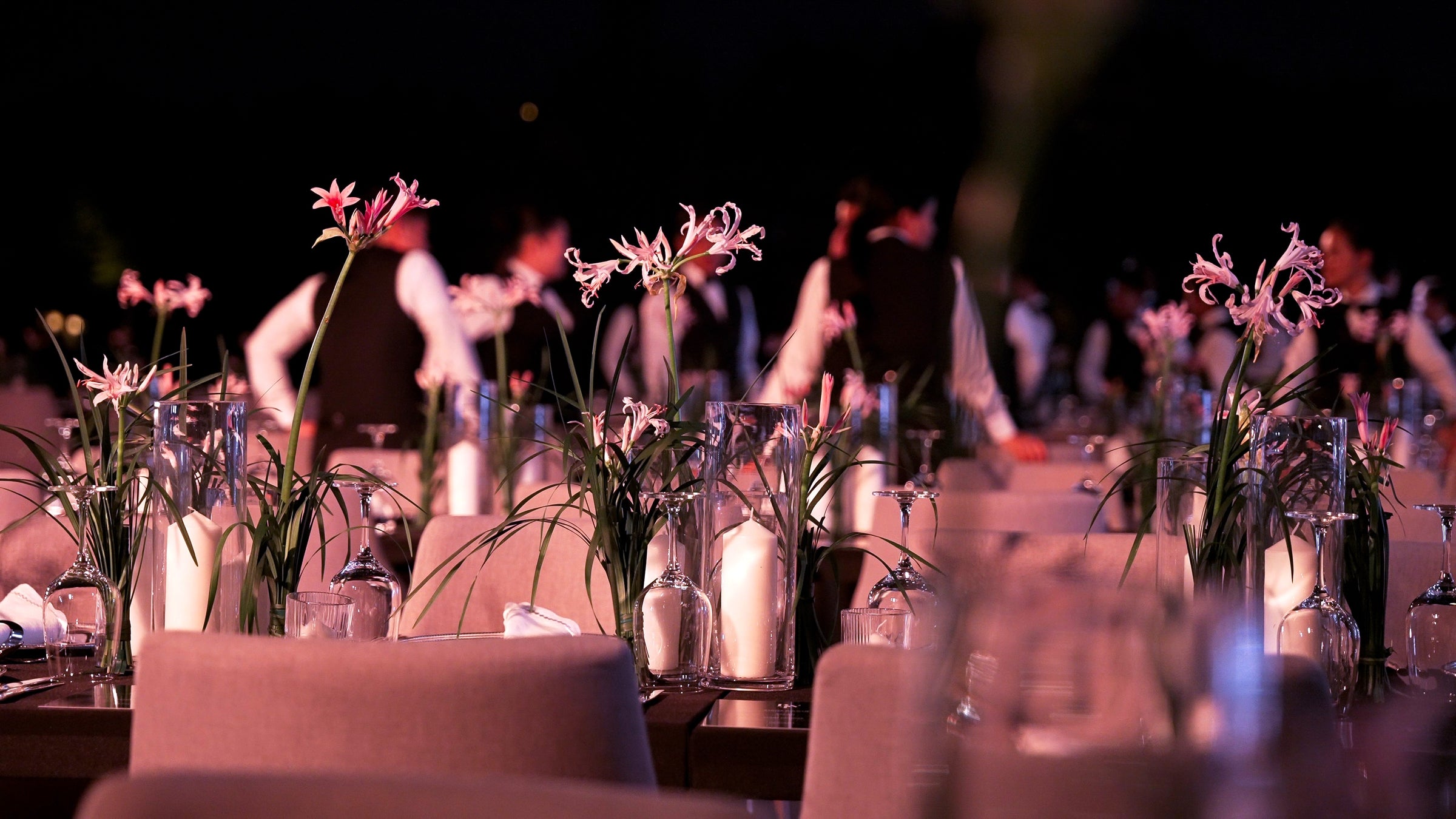 The Botanical Runway