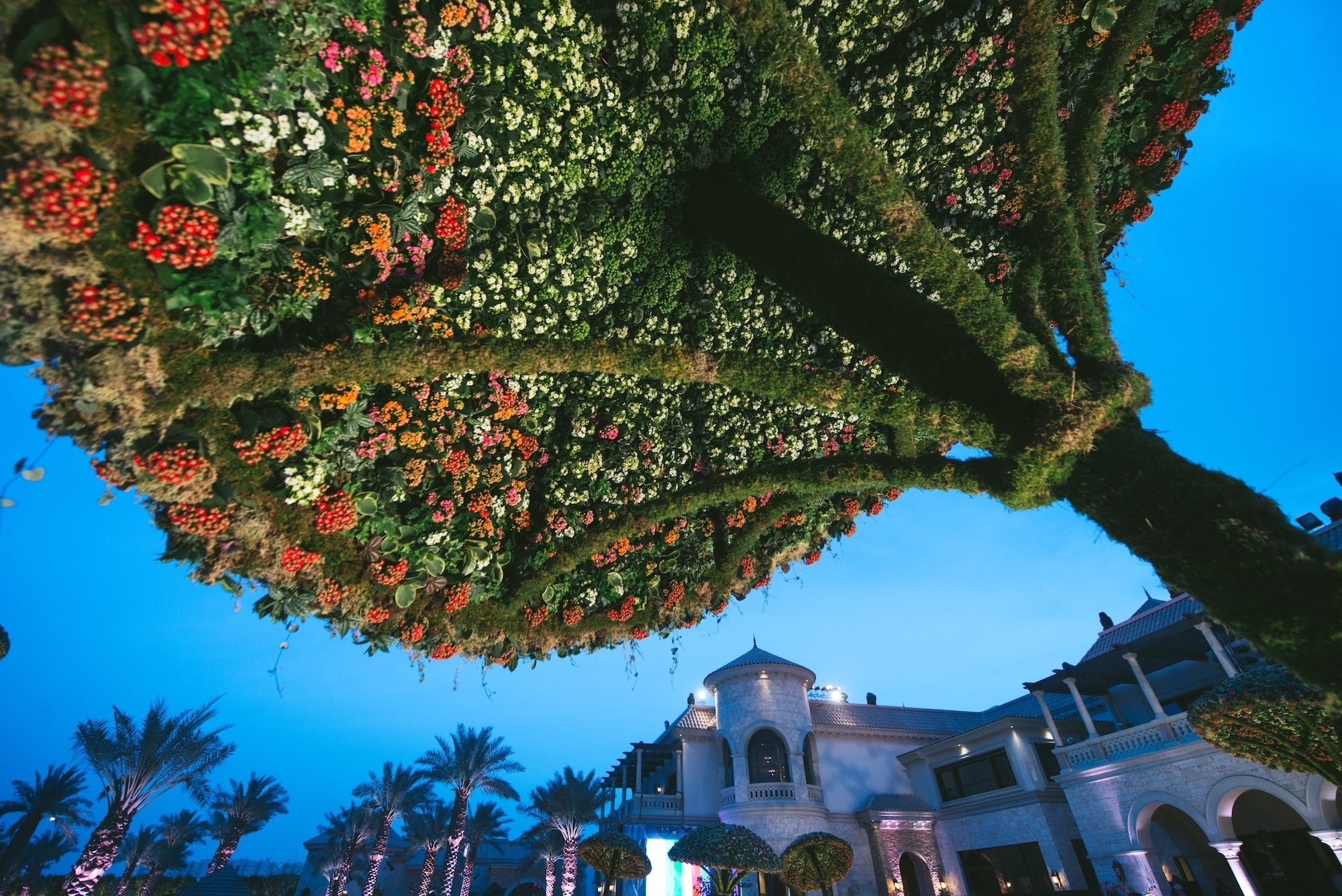 A Garden for Royalty