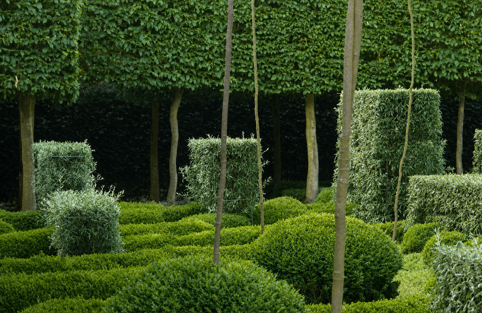 Living Contours