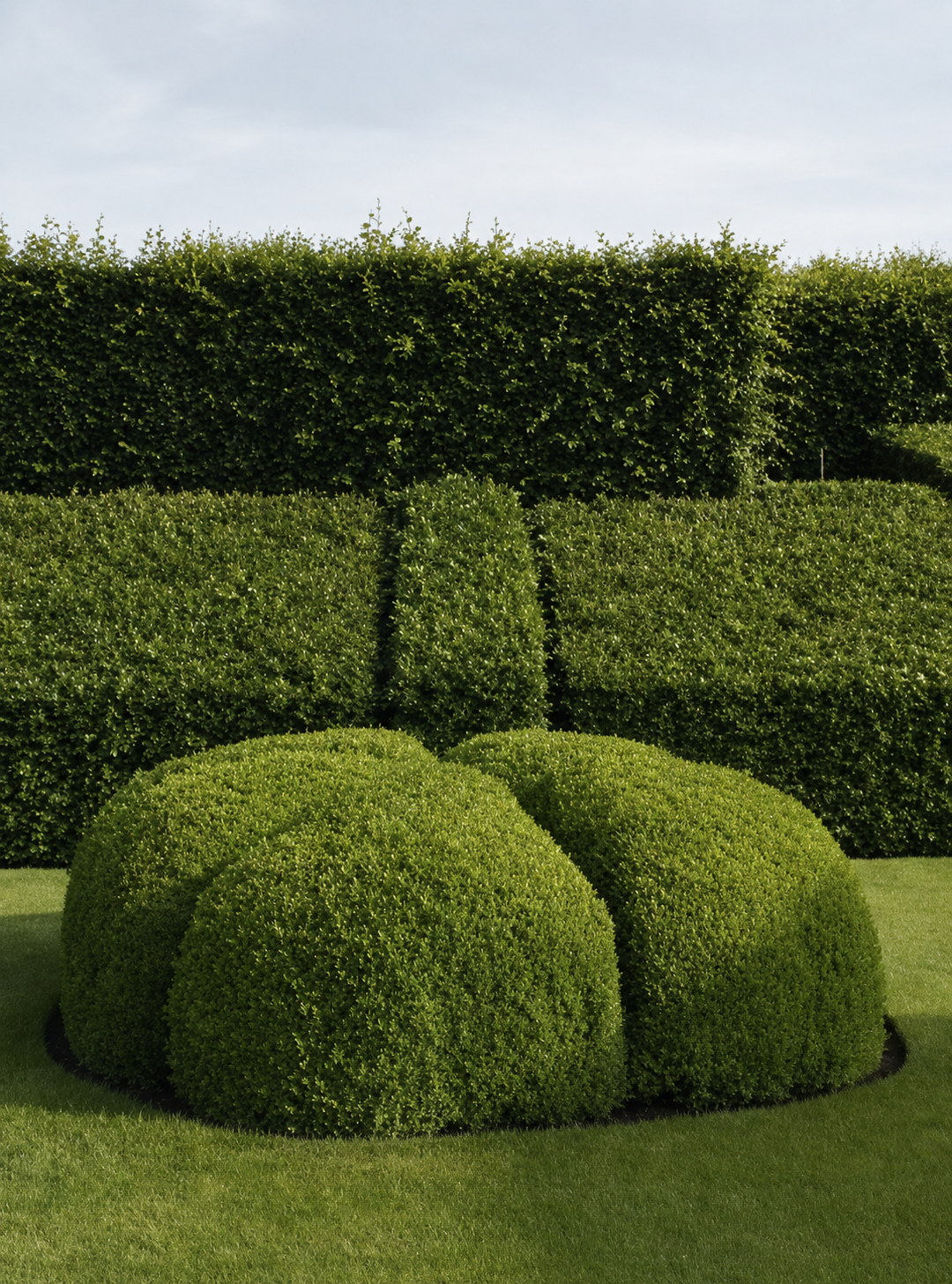 Living Contours