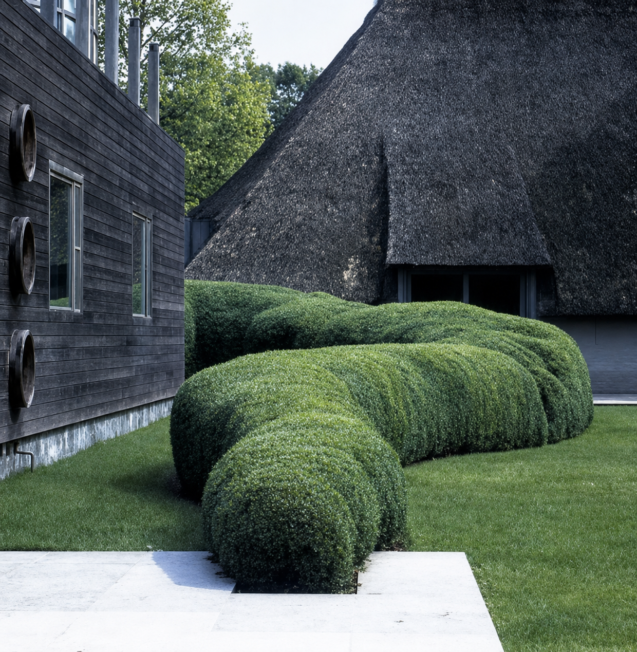 Living Contours