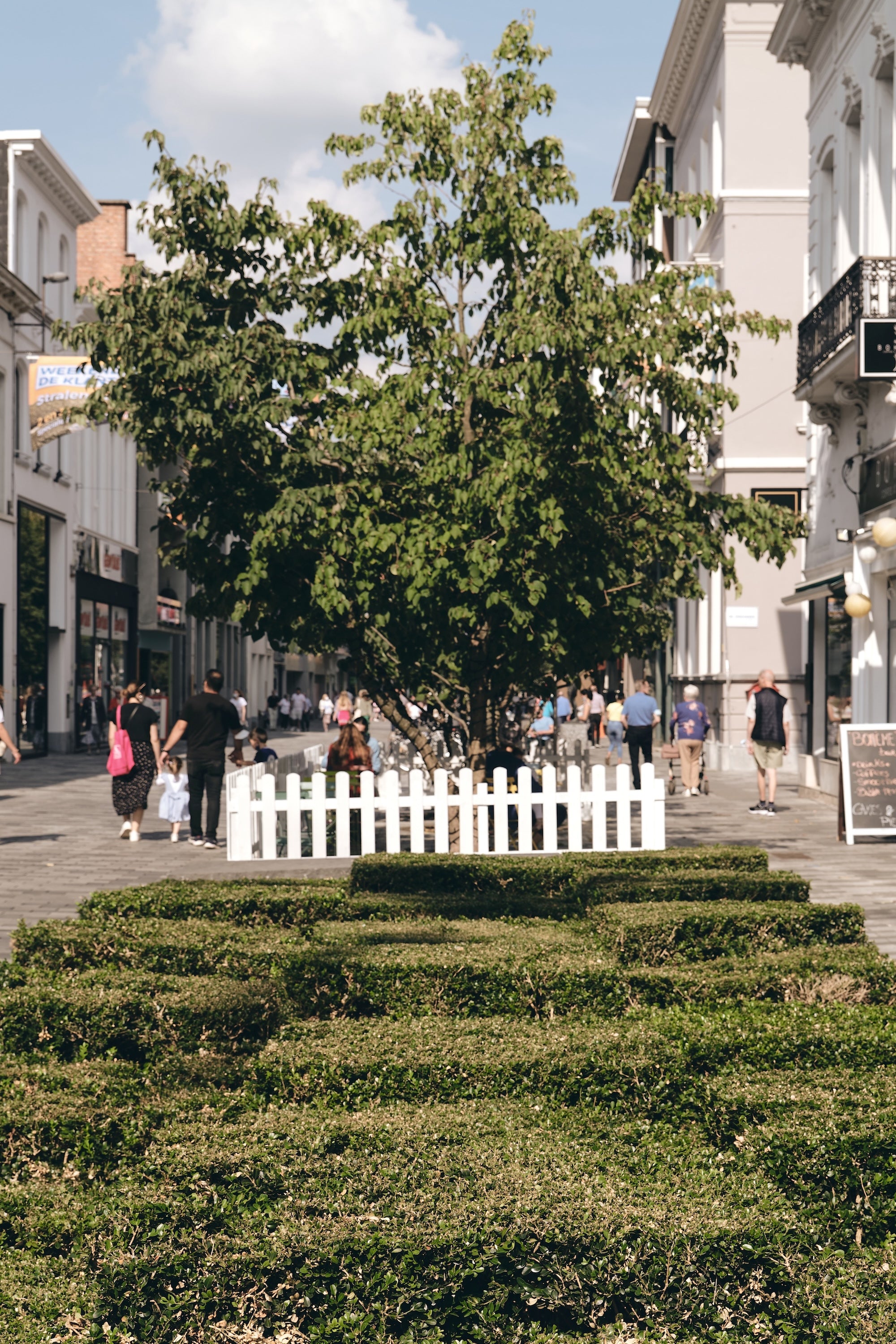 The Green Promenade