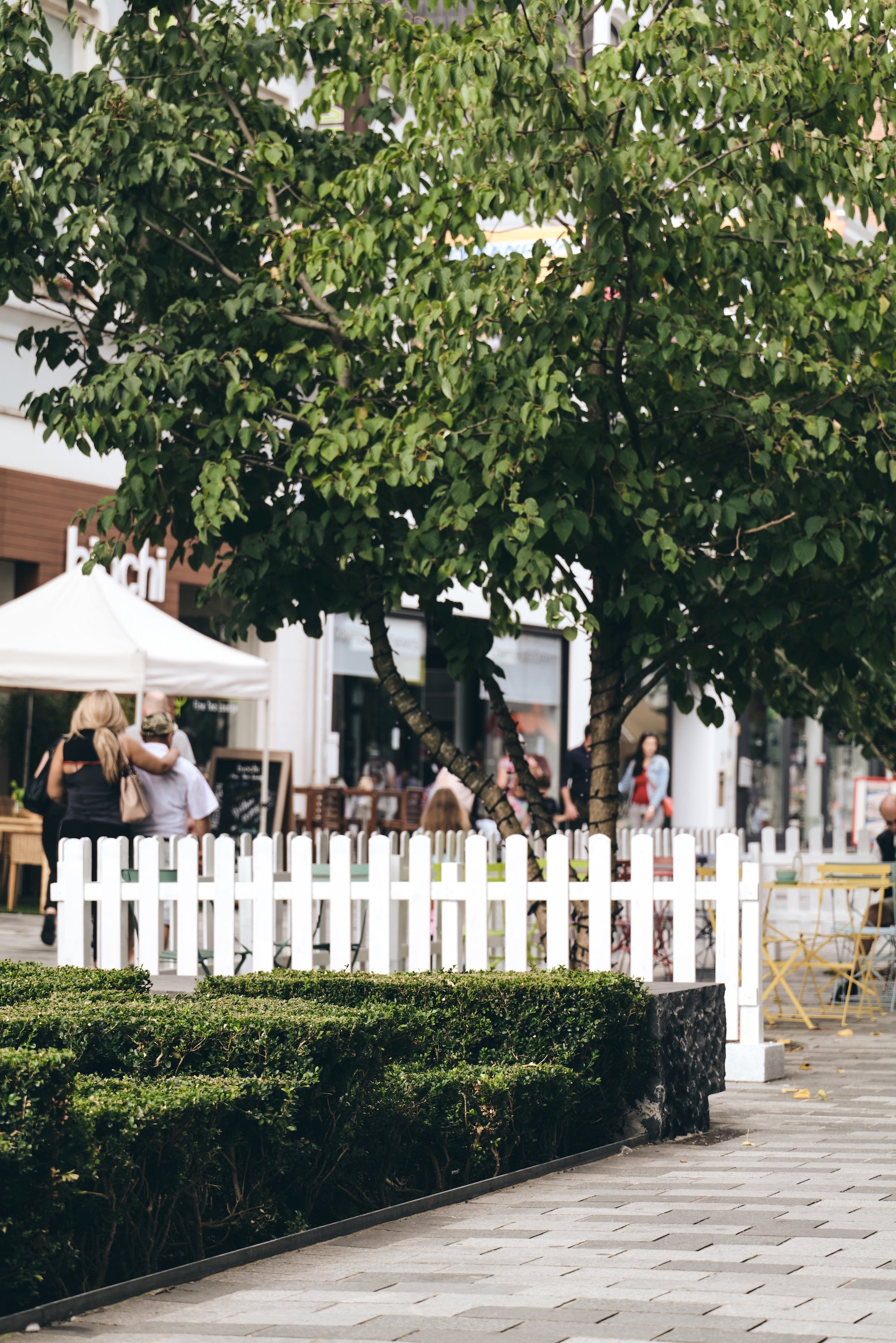 The Green Promenade